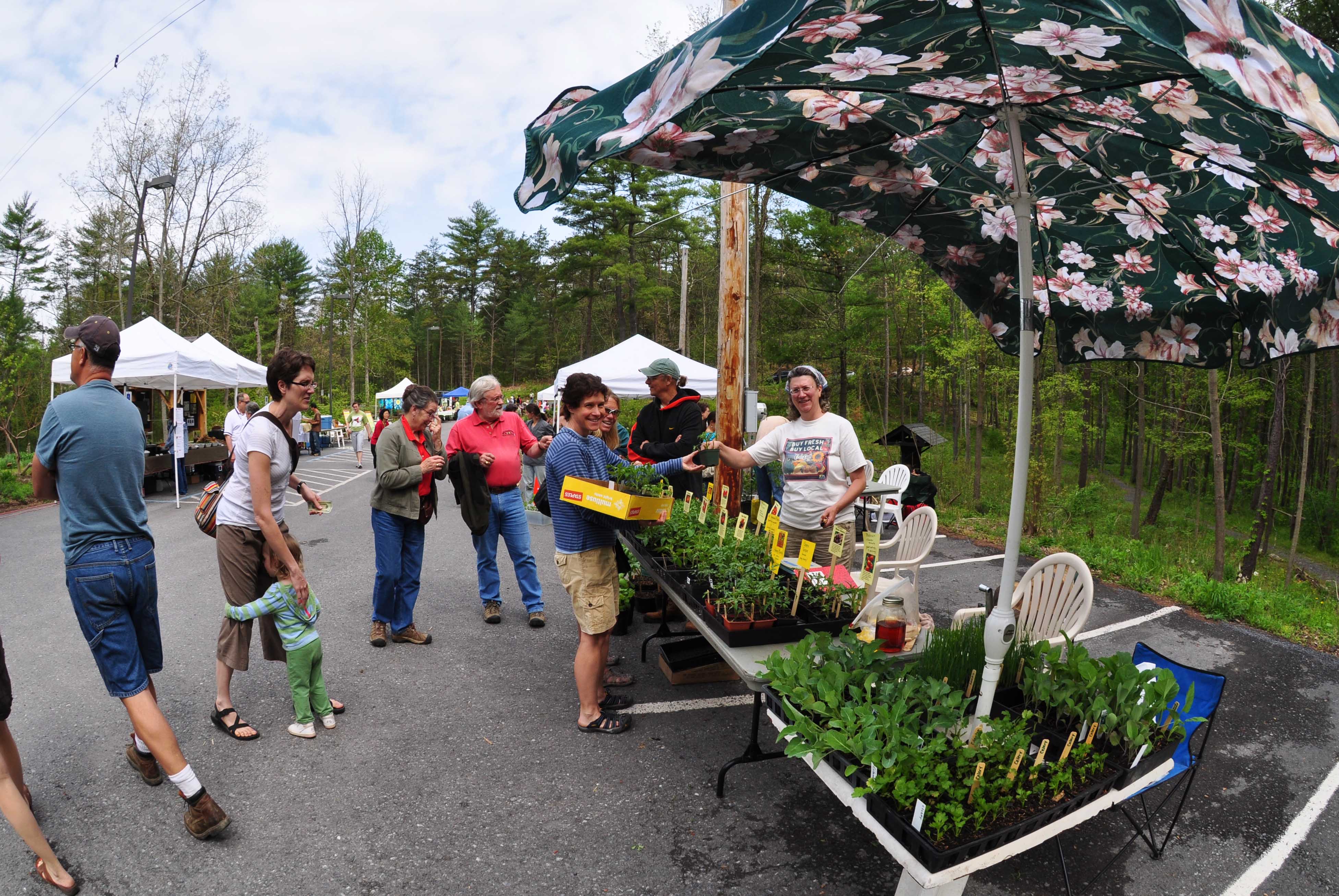 Shaver’s Creek Native Plant Festival set for new location on May 7