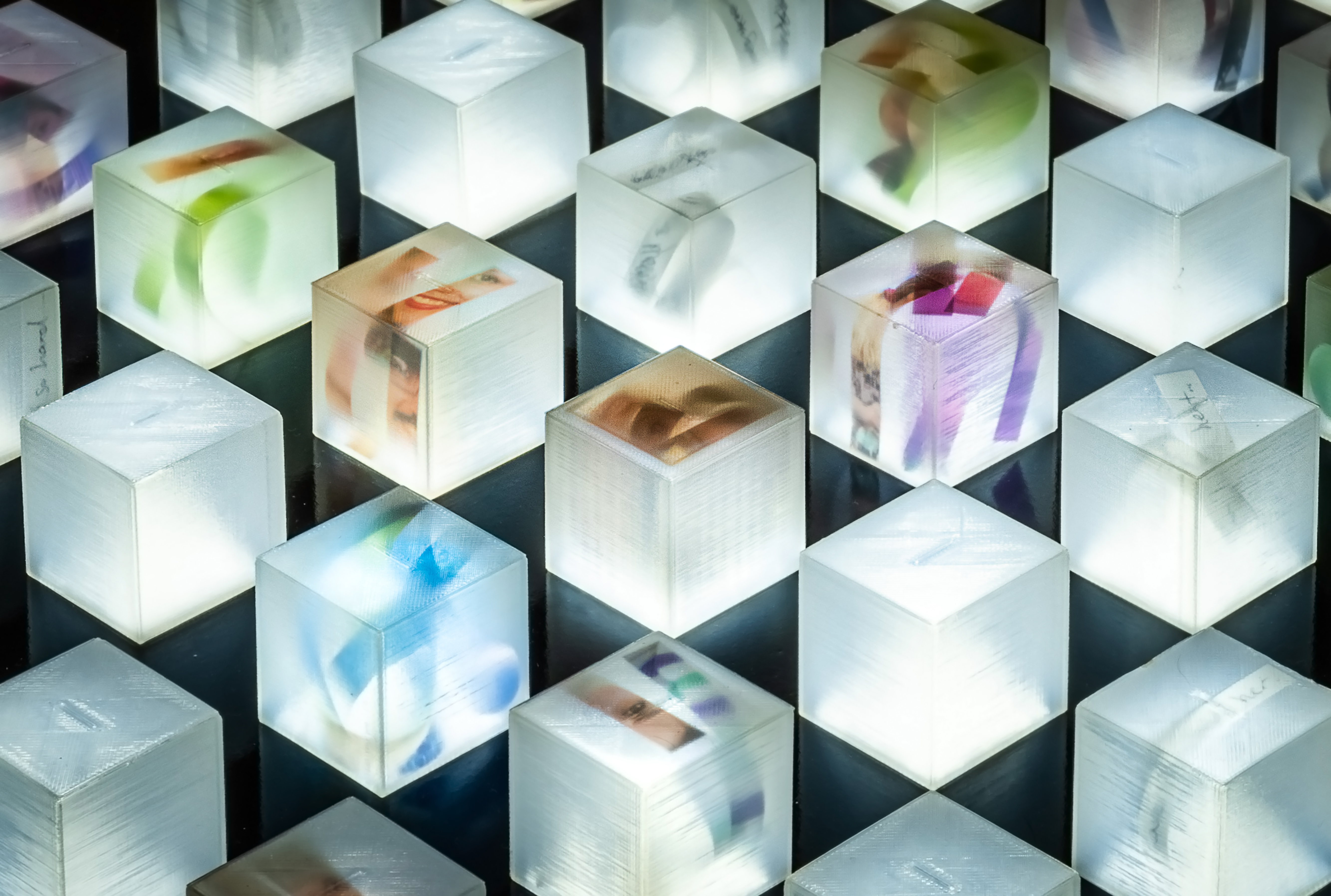 Cubes with art pieces housed inside