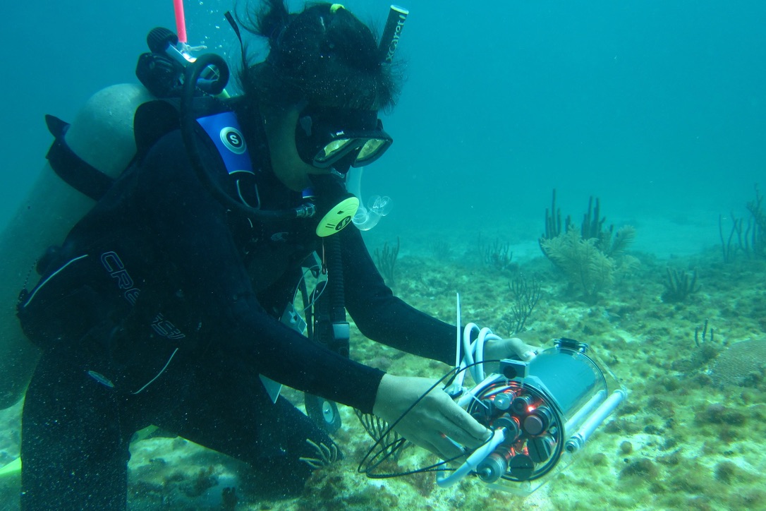 Diving in Puerto Morelos, Mexico, Claudia Tatiana Galindo-Martínez measures a light profile using a cosine-corrected light sensor attached to a DIVING-PAM underwater fluorometer.