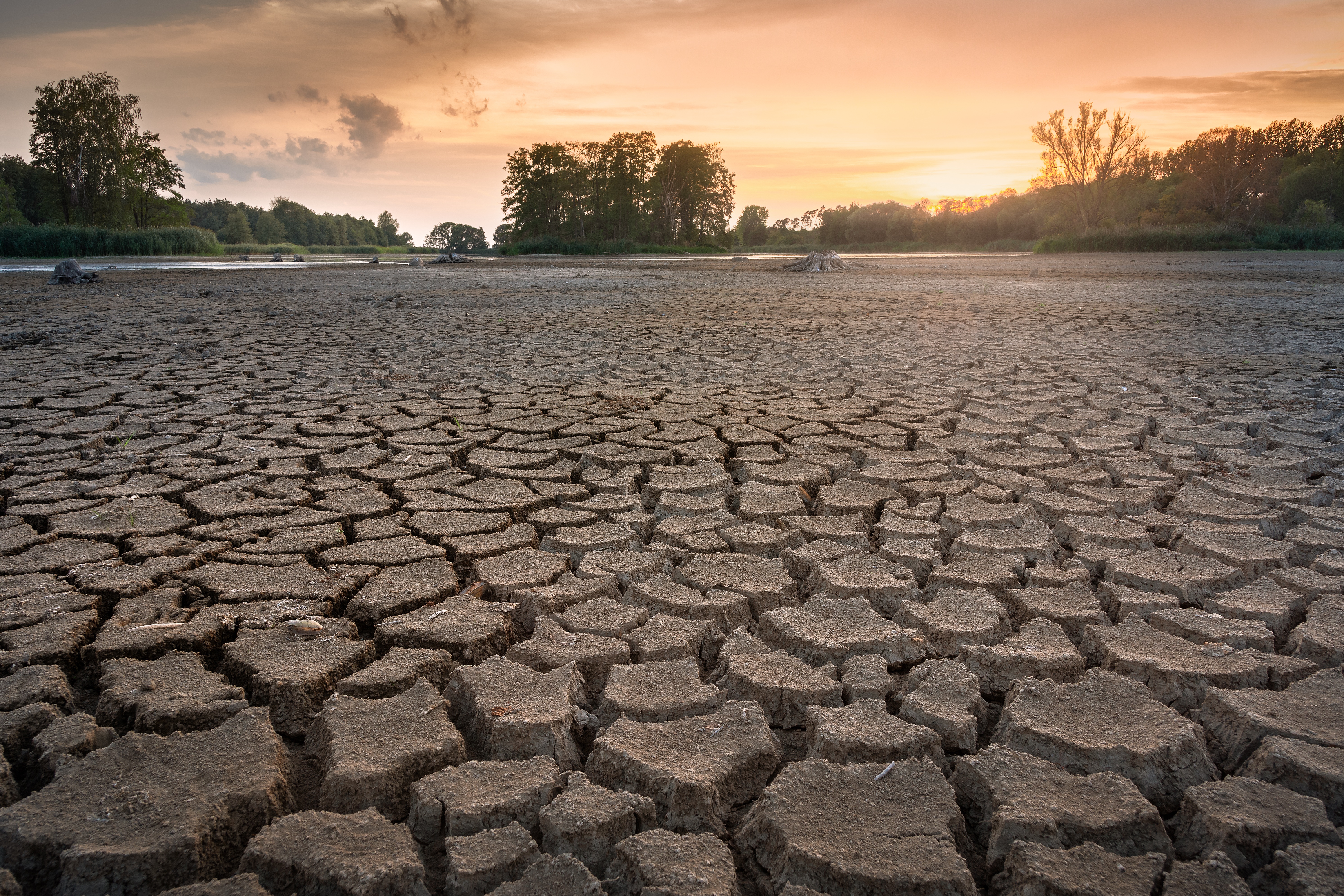 A picture of dry earth that has deep cracks from drought, with the sun setting in the background. 