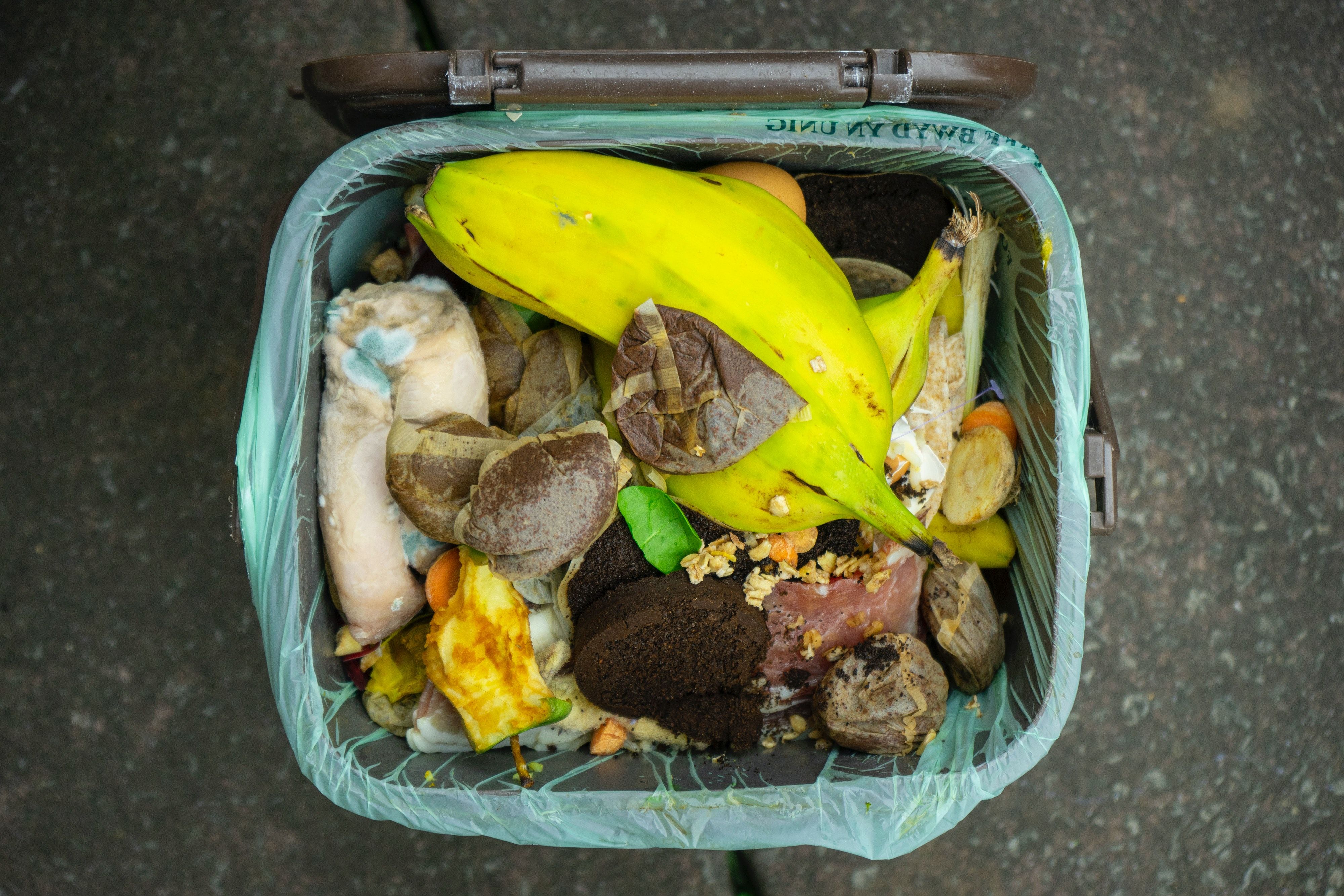 Discarded food in a wastebasket