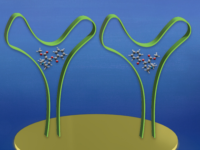 Drug aptamers bending when detecting drug molecules