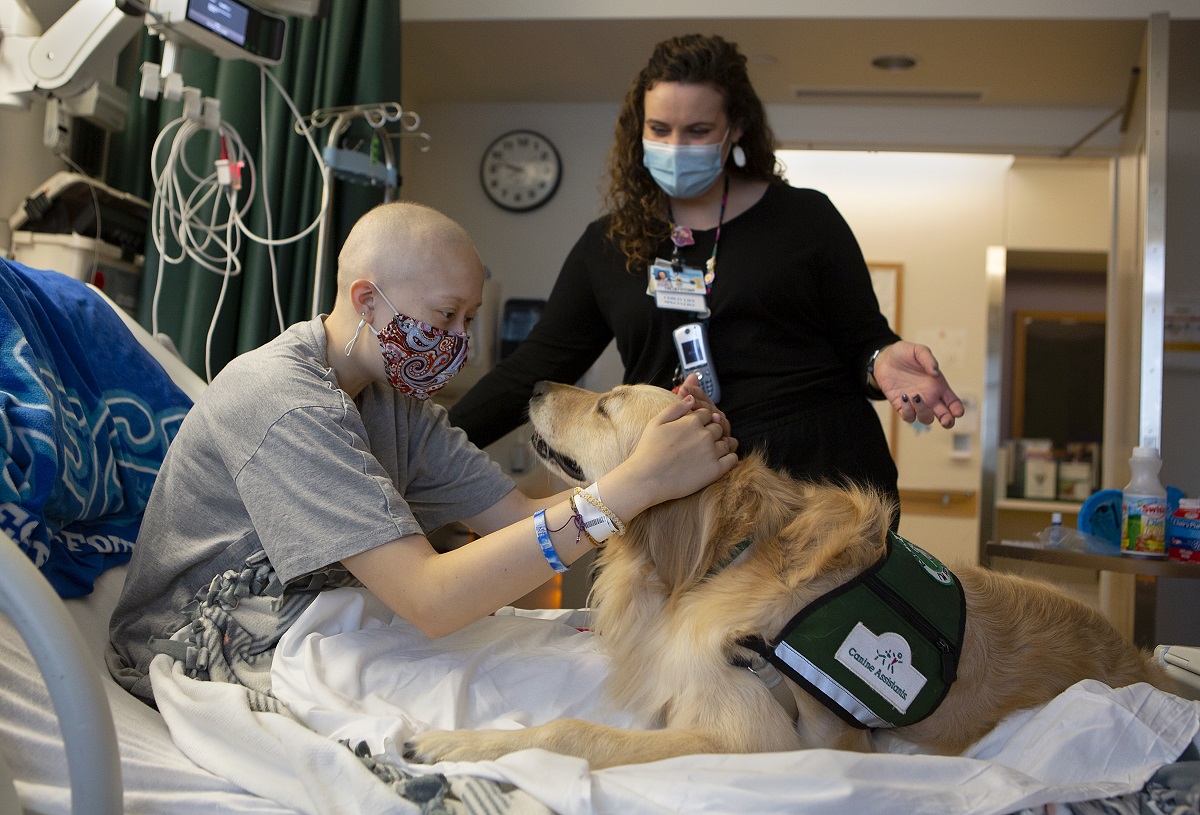 A young girl sits up in a hospital bed, petting a golden retriever with both hands. A hospital staff member stands beside the bed, looking on.