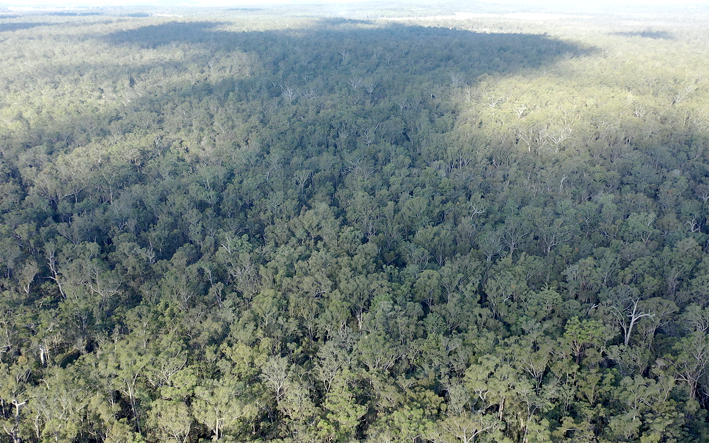 Aerial image of Bungawalbin National Park in New South Wales, Australia