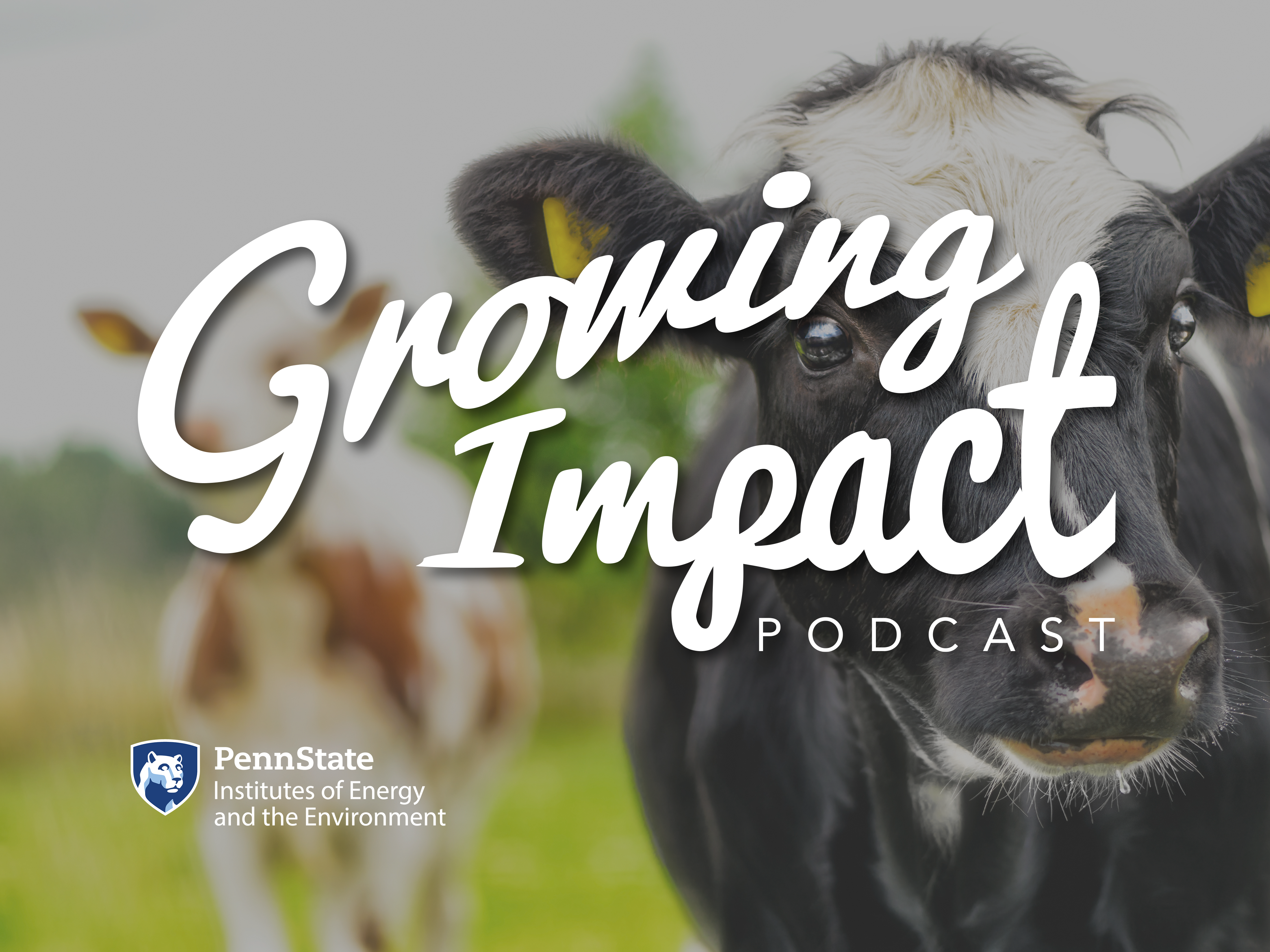 Growing Impact