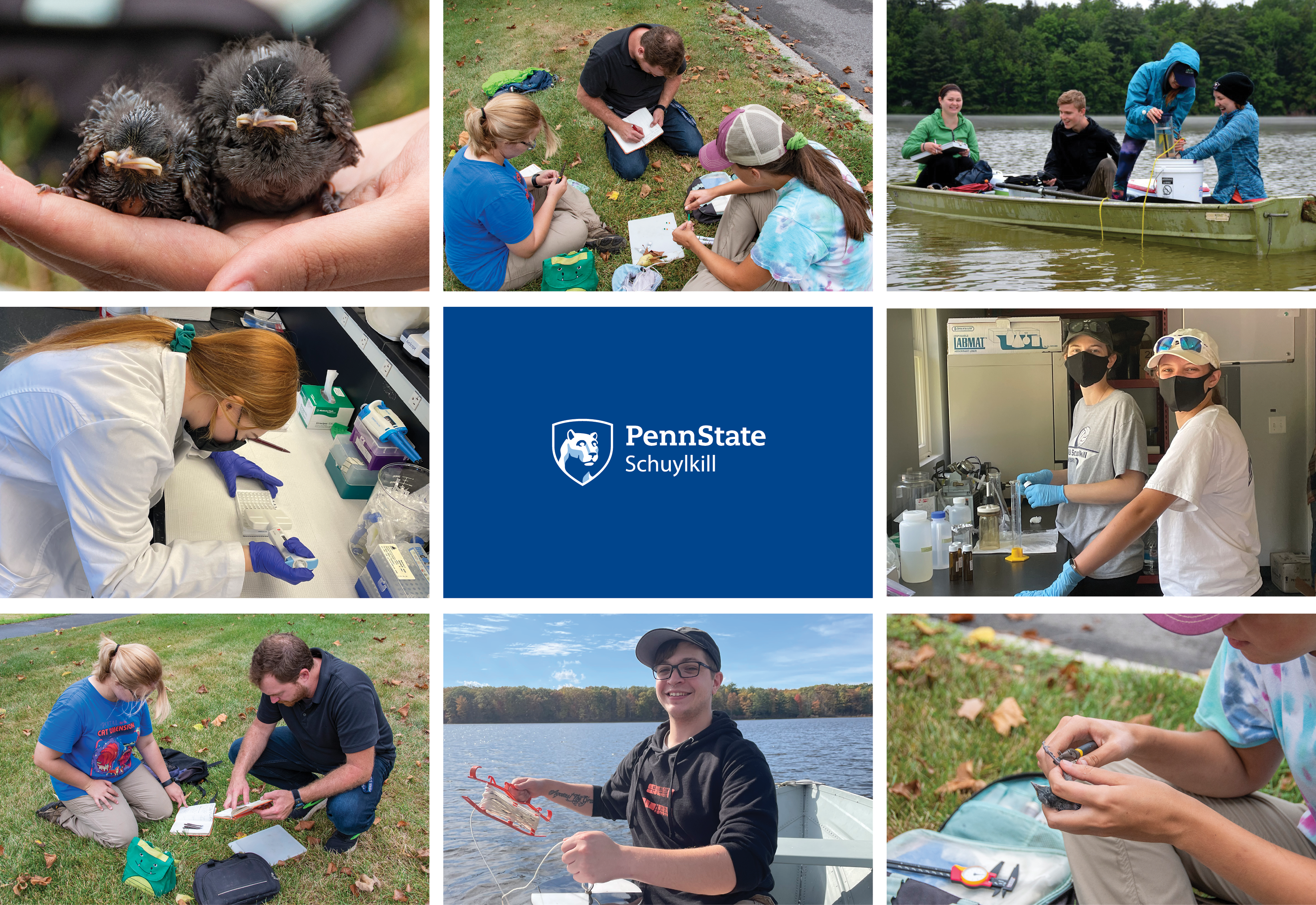 A grid of photos showing student and faculty researchers conducting fieldwork