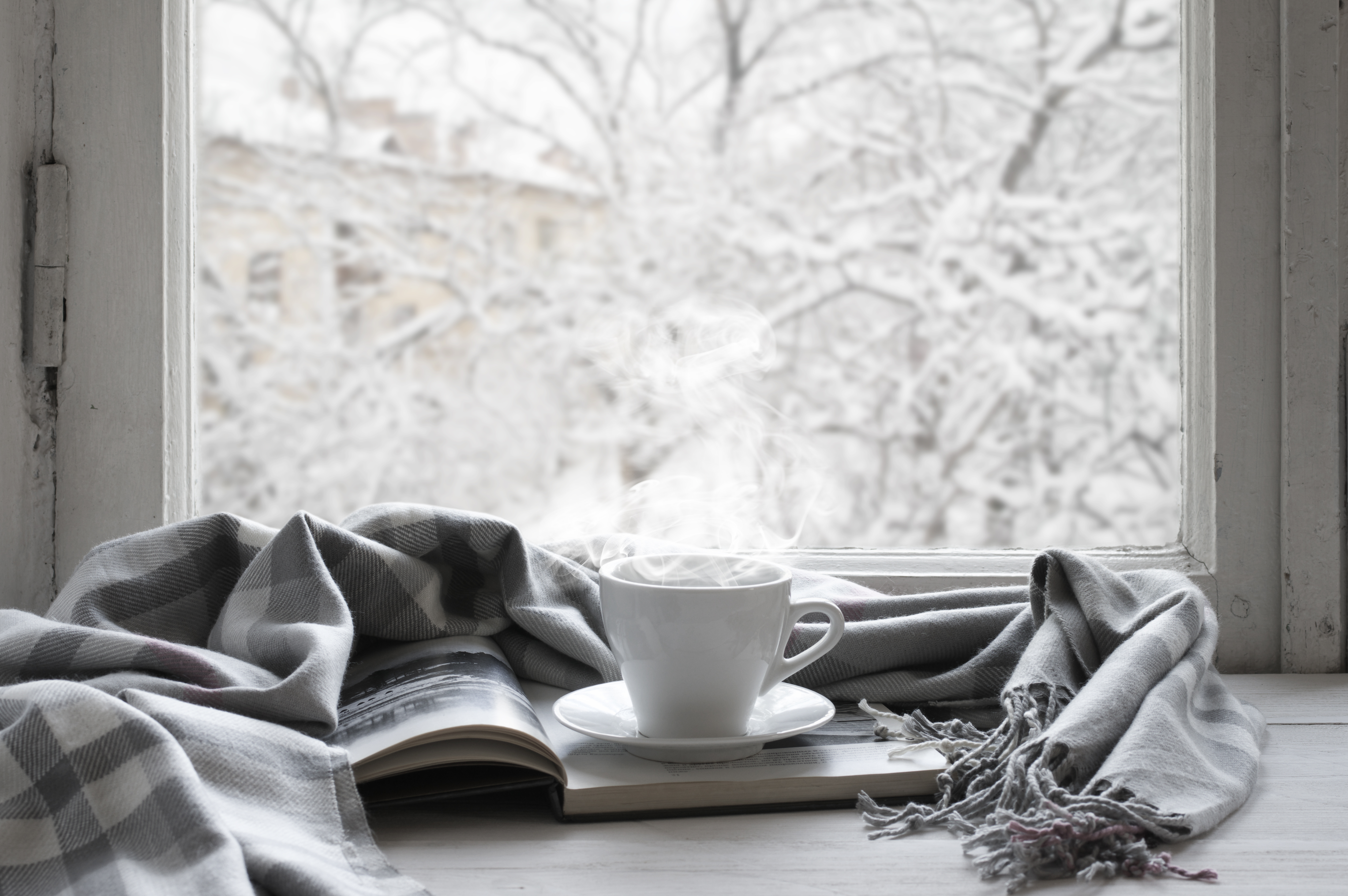 Photo of steaming mug sitting on desk in front of window showing snowy tree branches