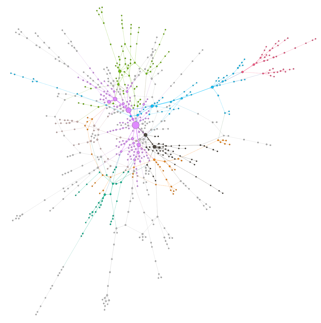 Jazz networks