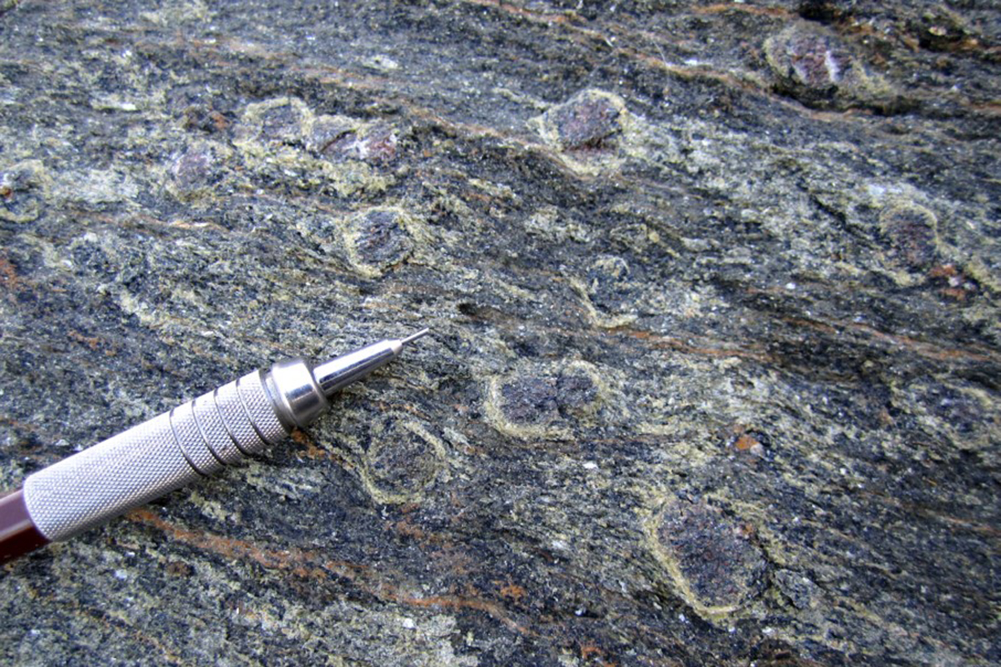 A sample of rock taken along the coast in Oman that may reveal new clues about subduction 