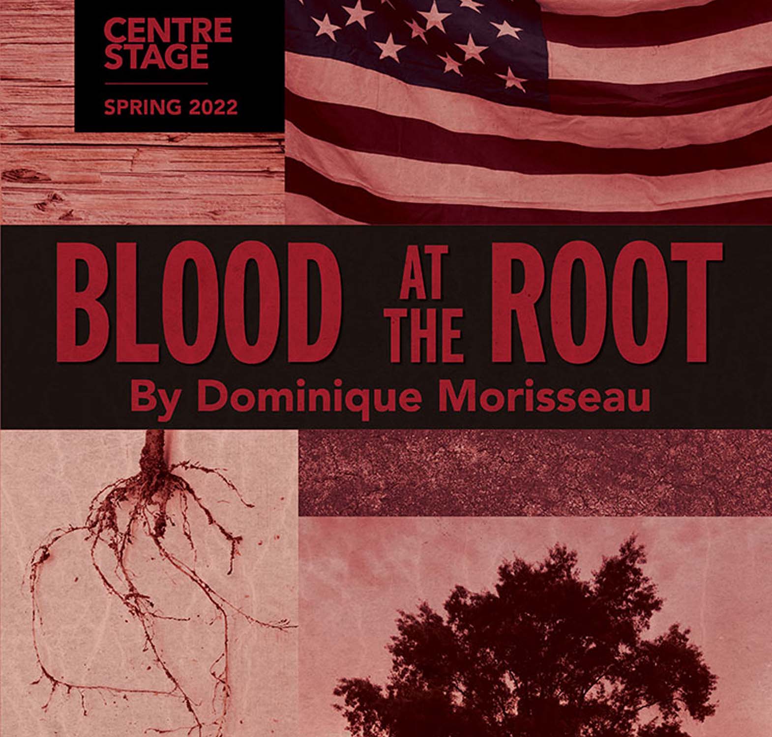 Show title with a tree root, flag, and tree in red.