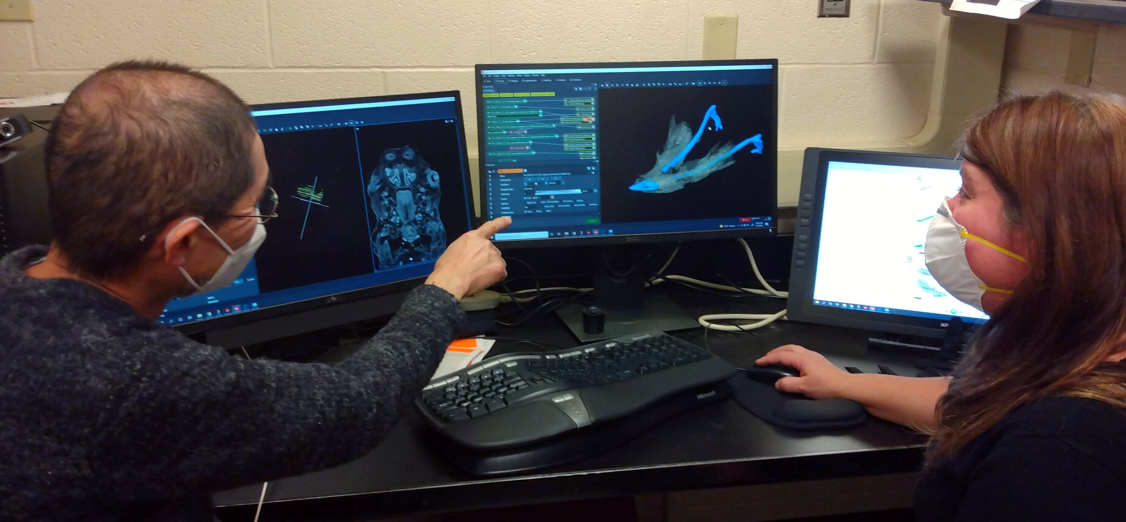 a man on the left and a woman on the right seated looking at computer screens. that screen contains images of embryonic bones