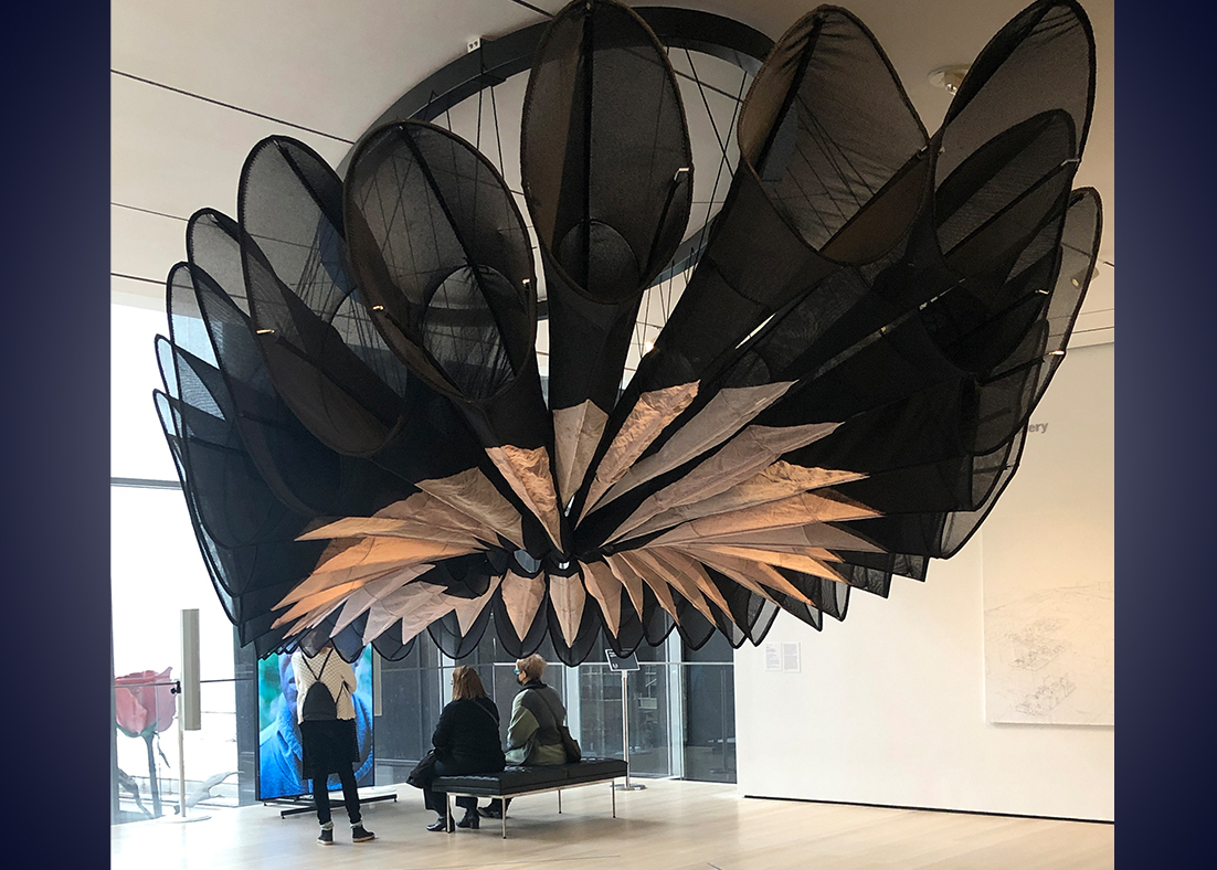 The Black Flower Antenna hanging in the Museum of Modern Art.