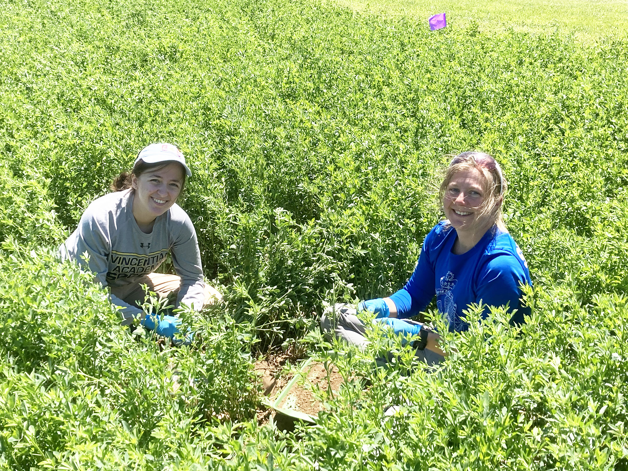 prof and grad student in field