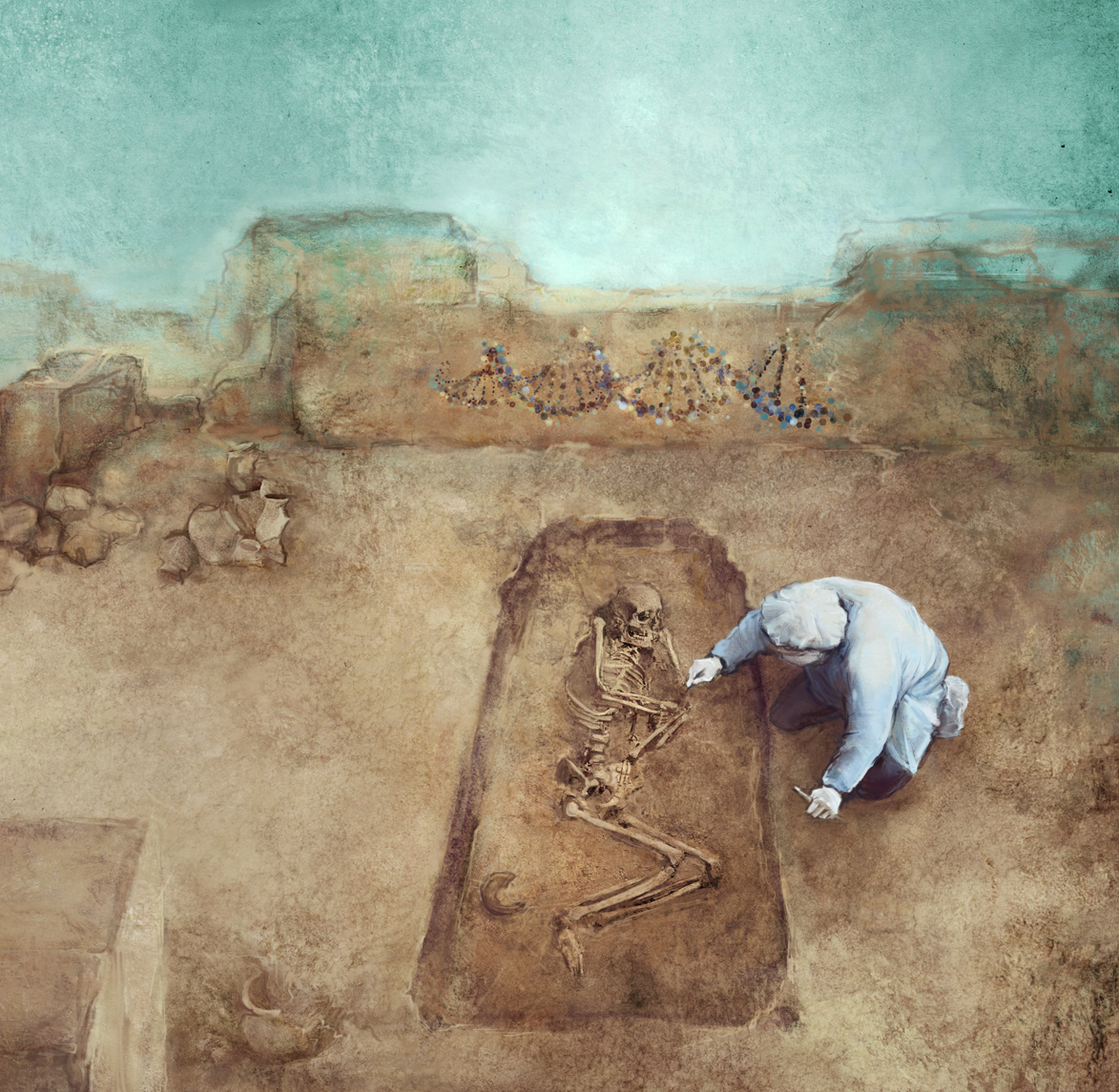 drawing of an anthropologist excavating a skeleton at an archaeological site.walls and pottery visiable in surroundings