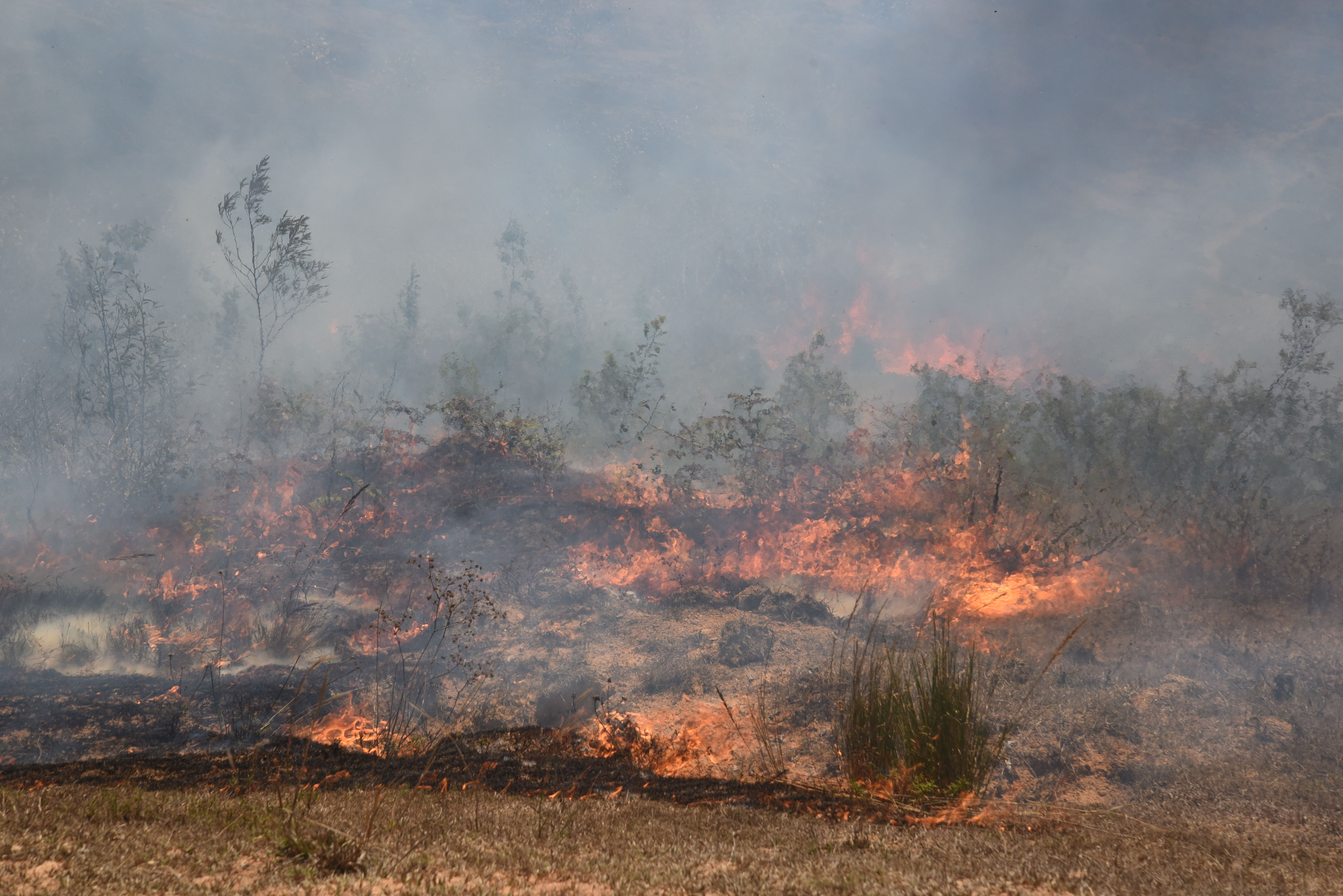 wide shot of fire consuming grasslands