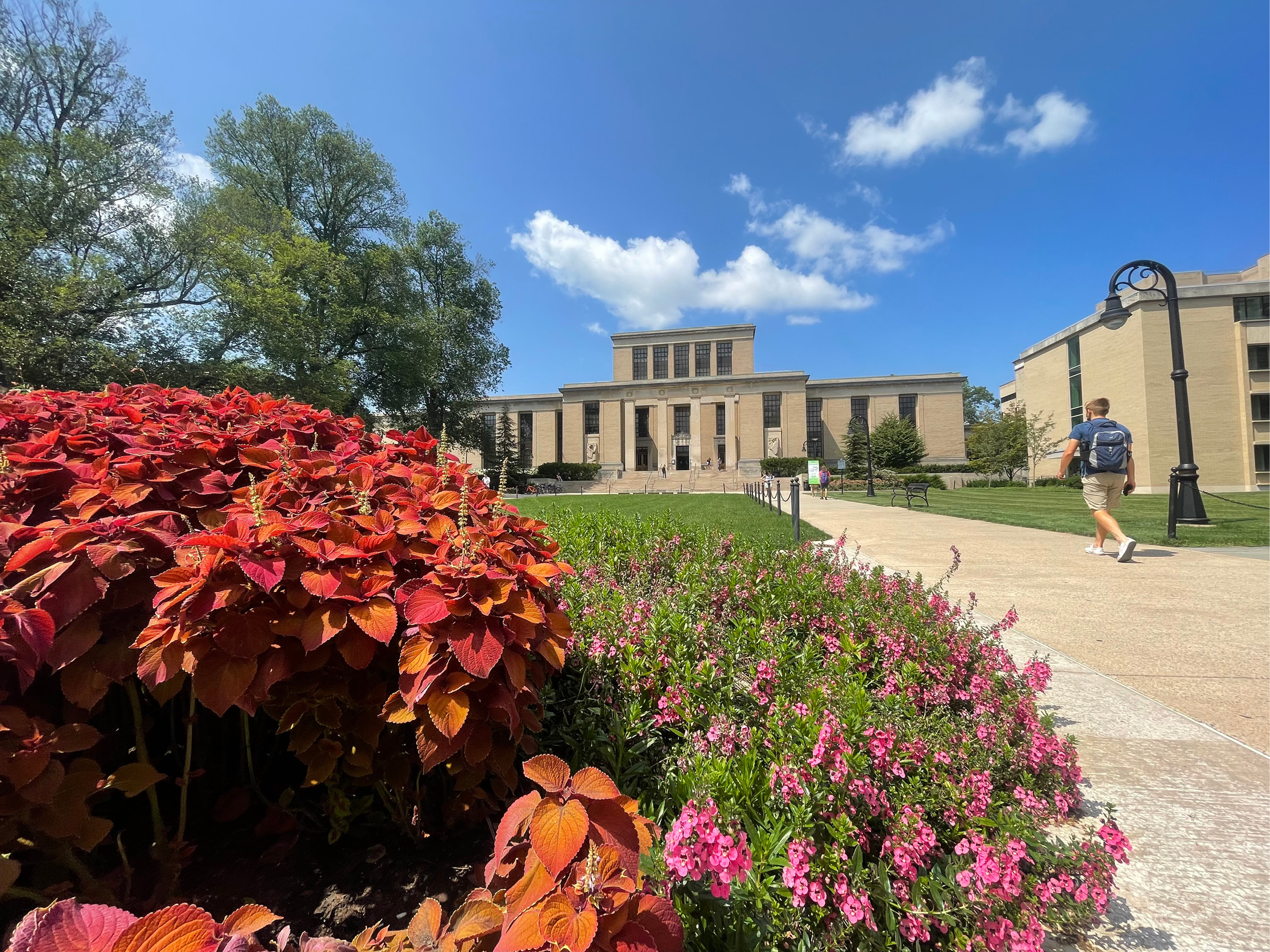 Pattee Library from mall