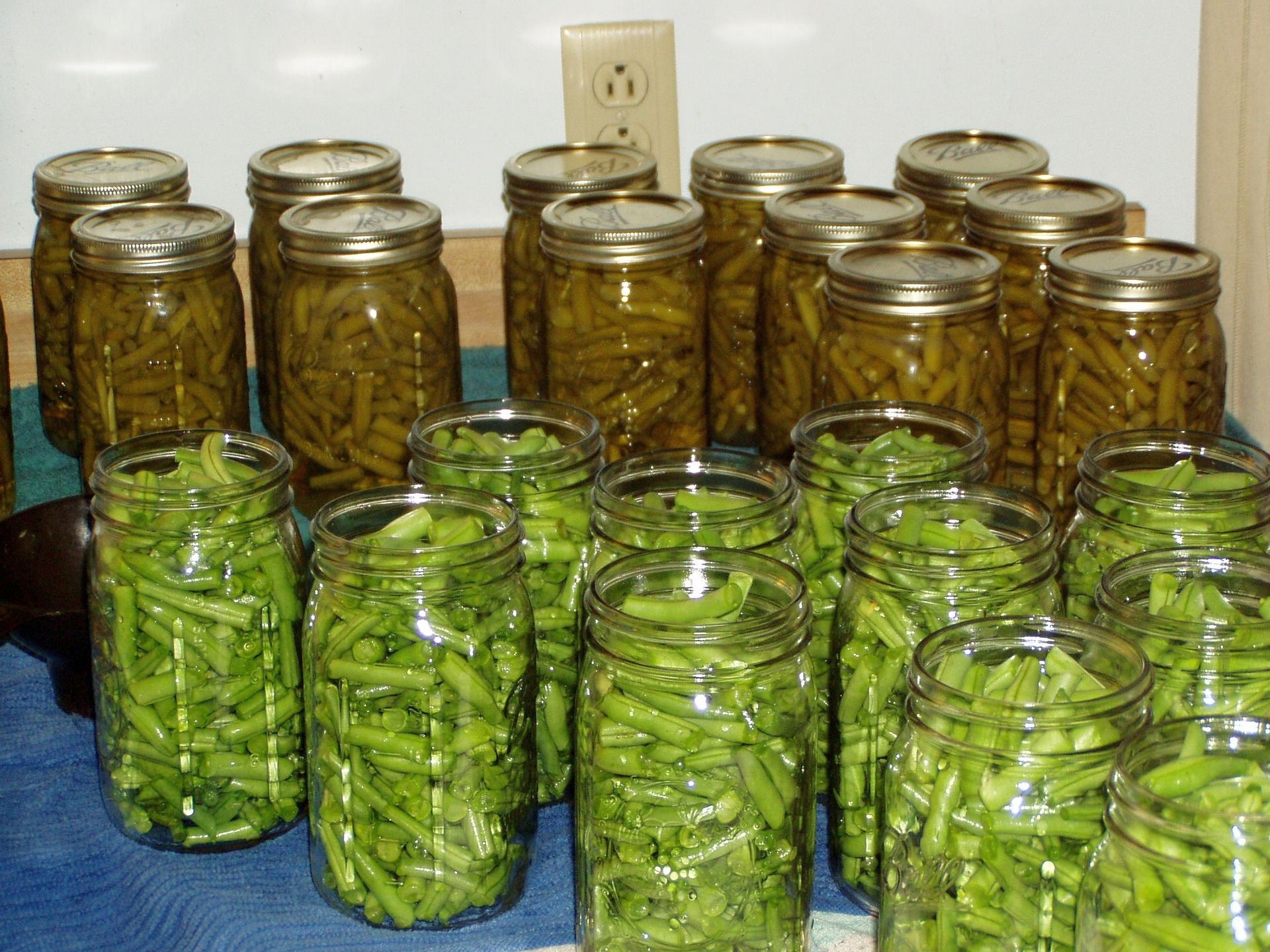 Jars of green beans for canning