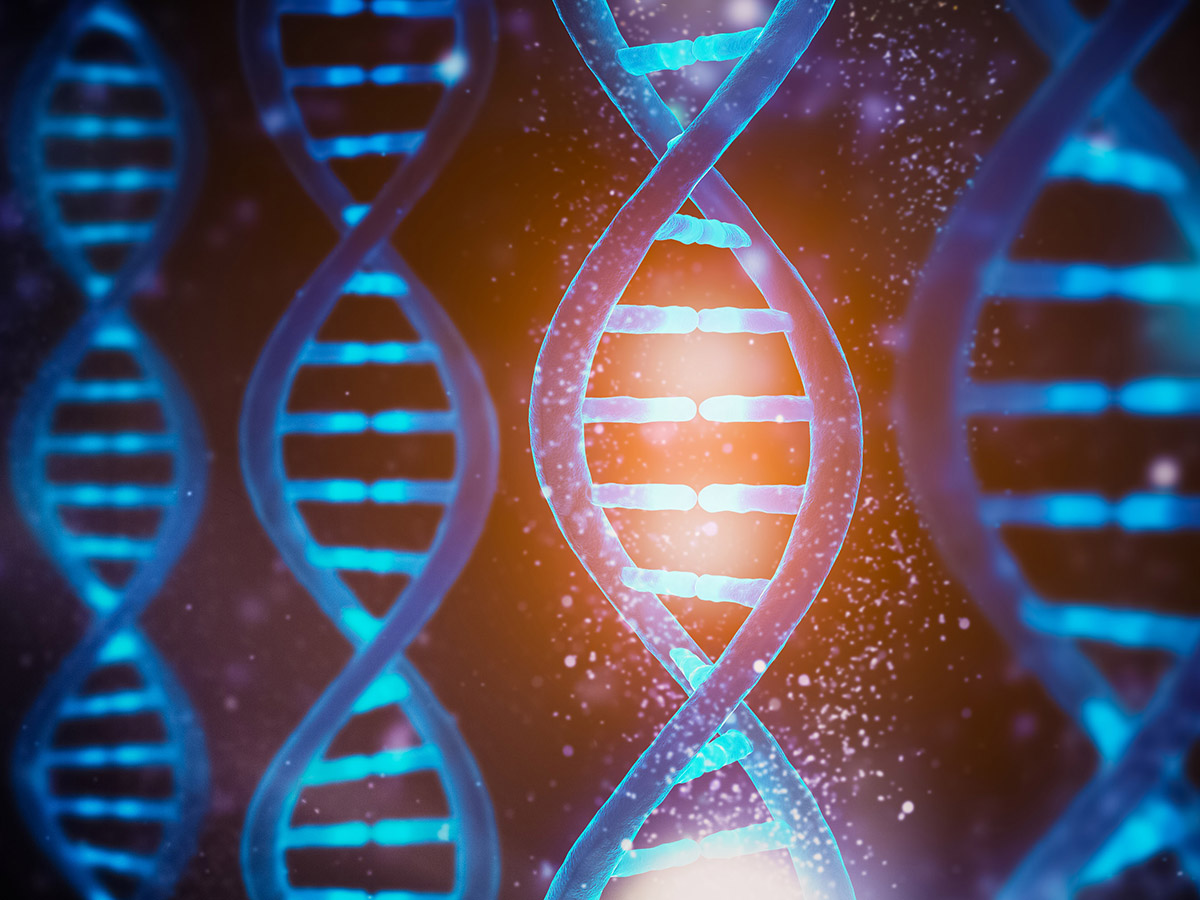 Close up image of DNA strands showing the double helix. 