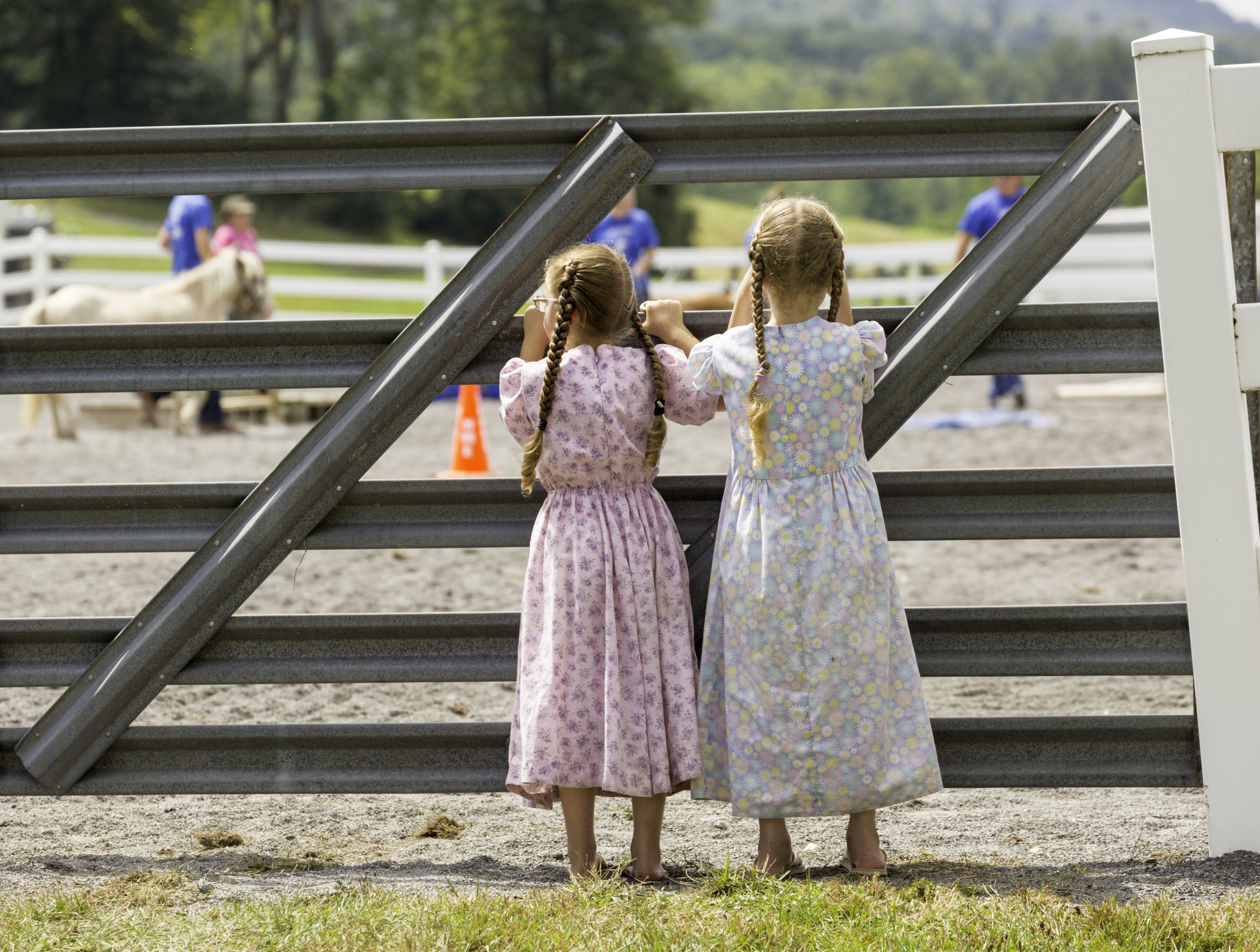 Two girls watch miniature horses through a gate at 2019 Ag Progress Days