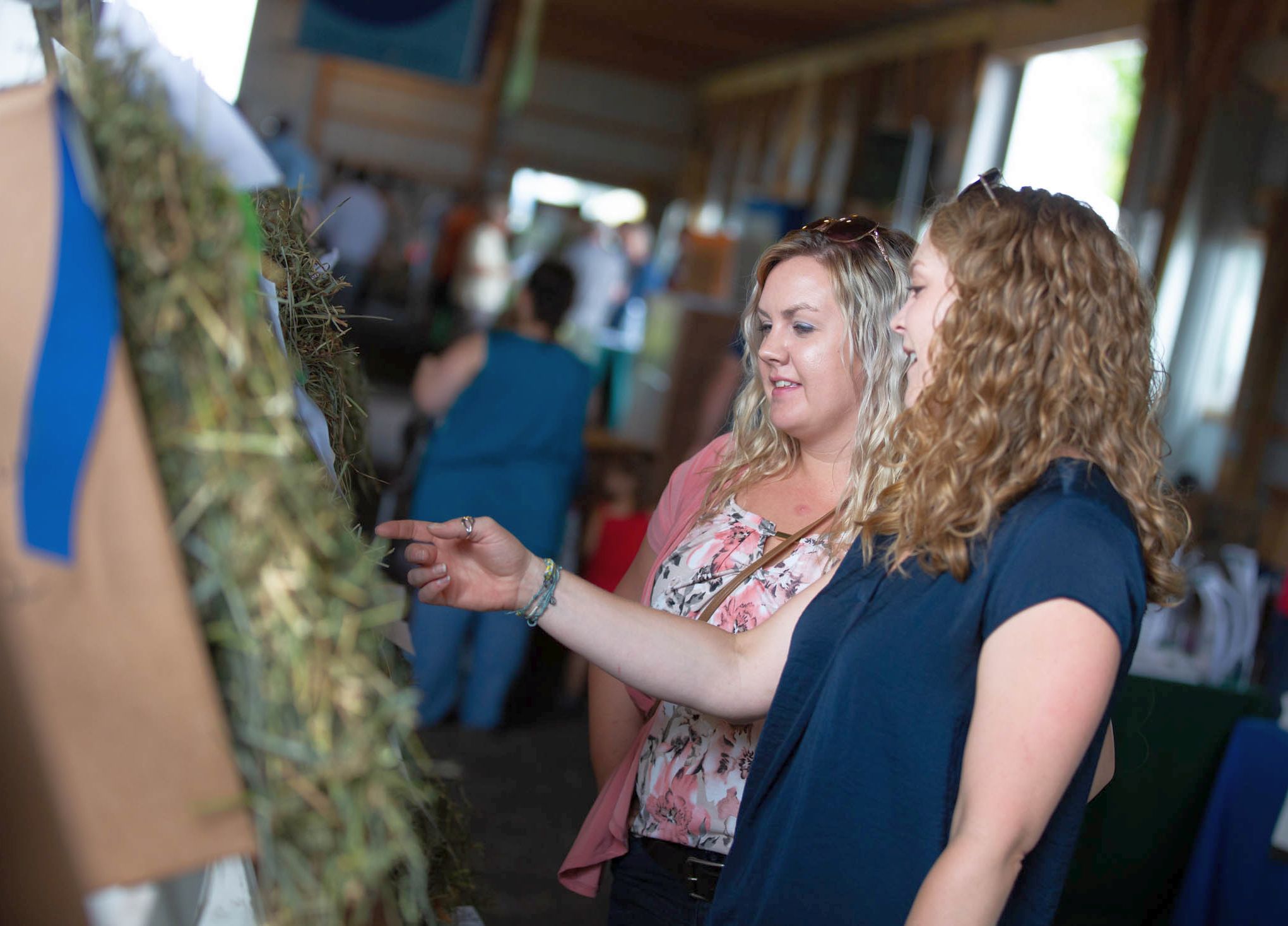 Visitors look at entries in the Hay Show at Ag Progress Days