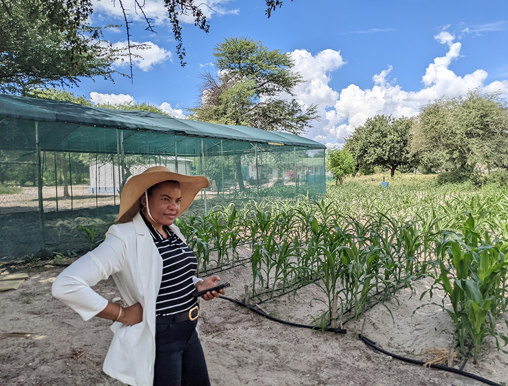 growing food