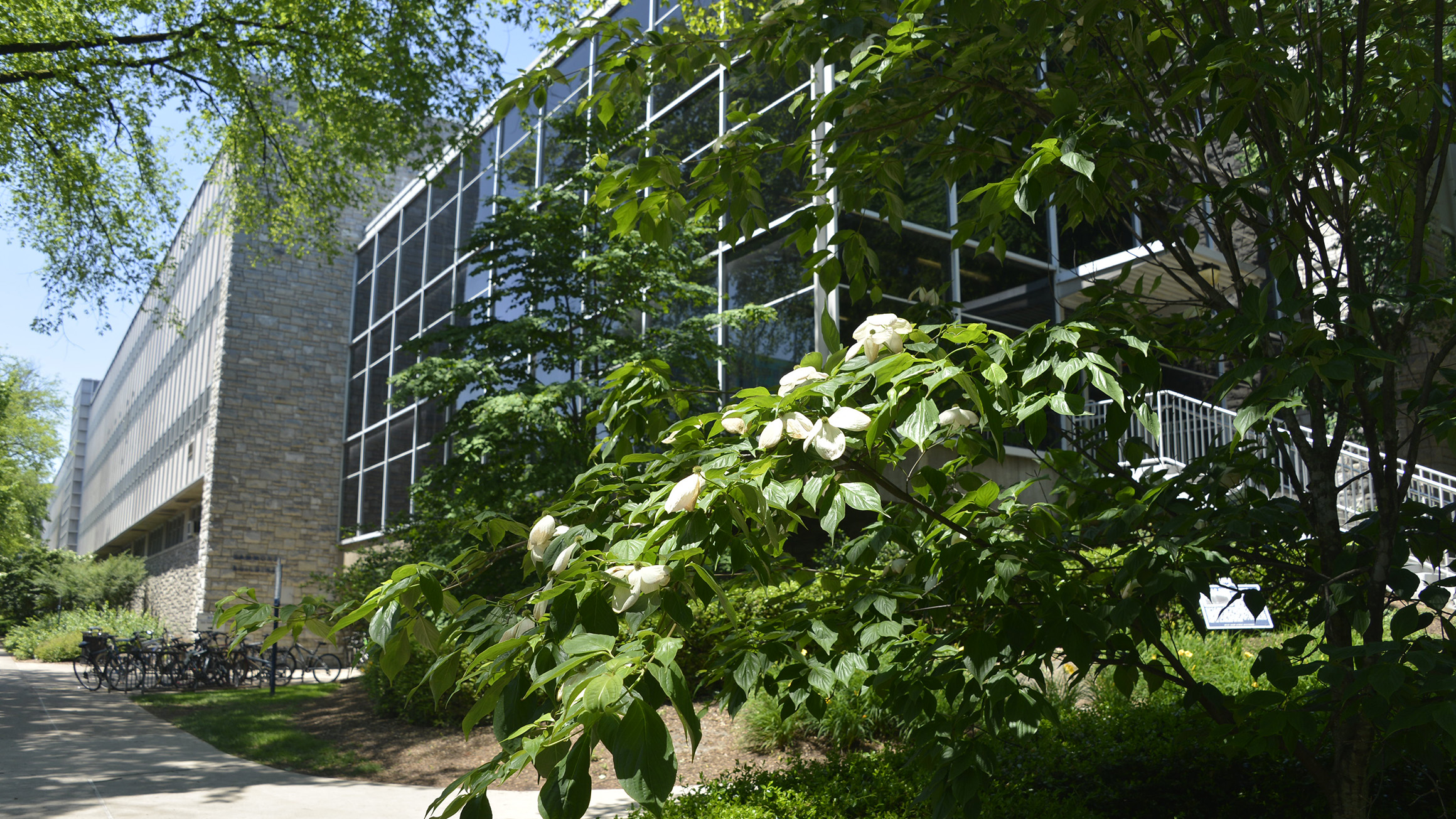 An exterior photo of the Hammond Building at University Park.