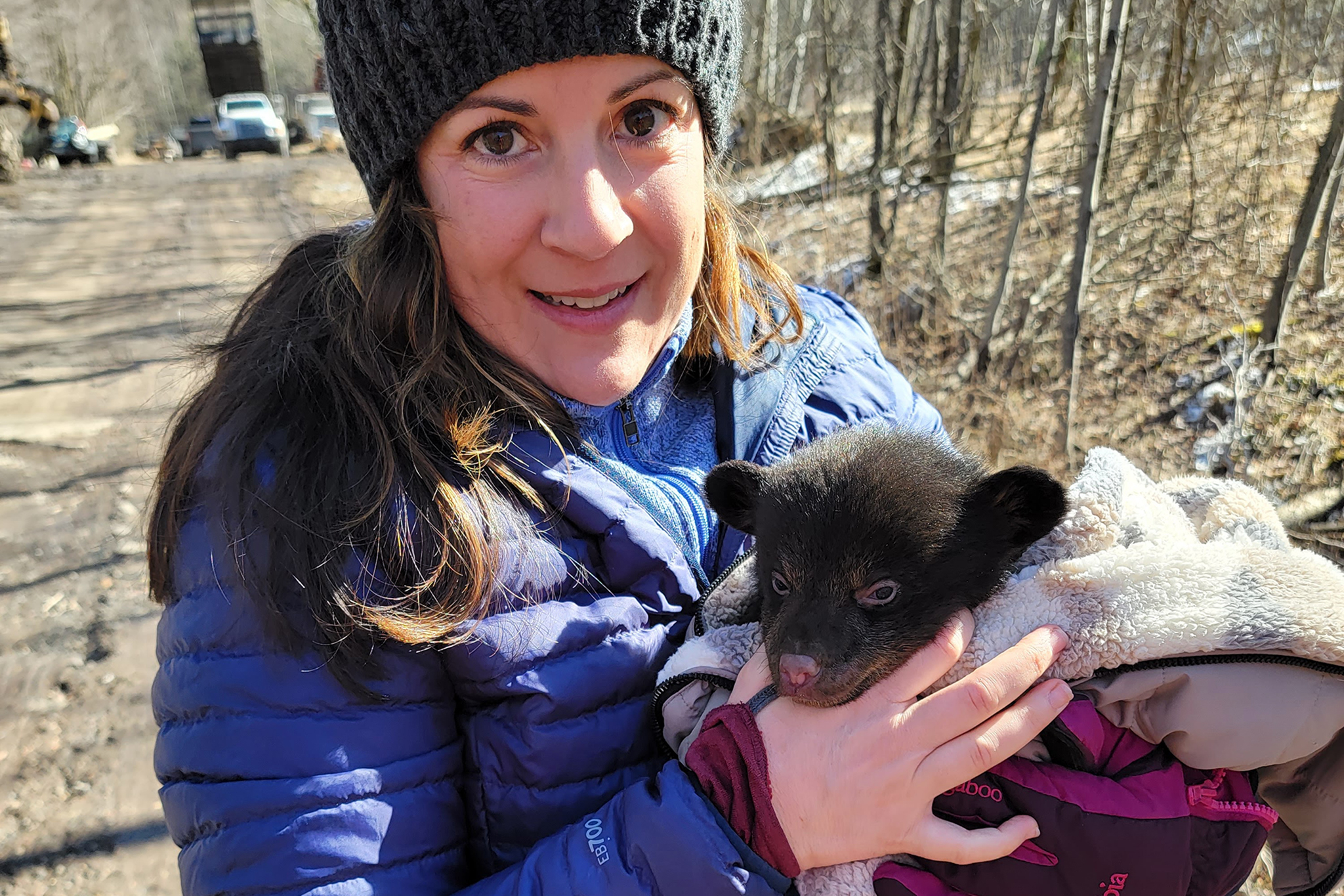 Haley Sankey joined biologists from the Pennsylvania Game Commission when they checked on the health of a mother black bear and her cubs at a den in Central Pennsylvania