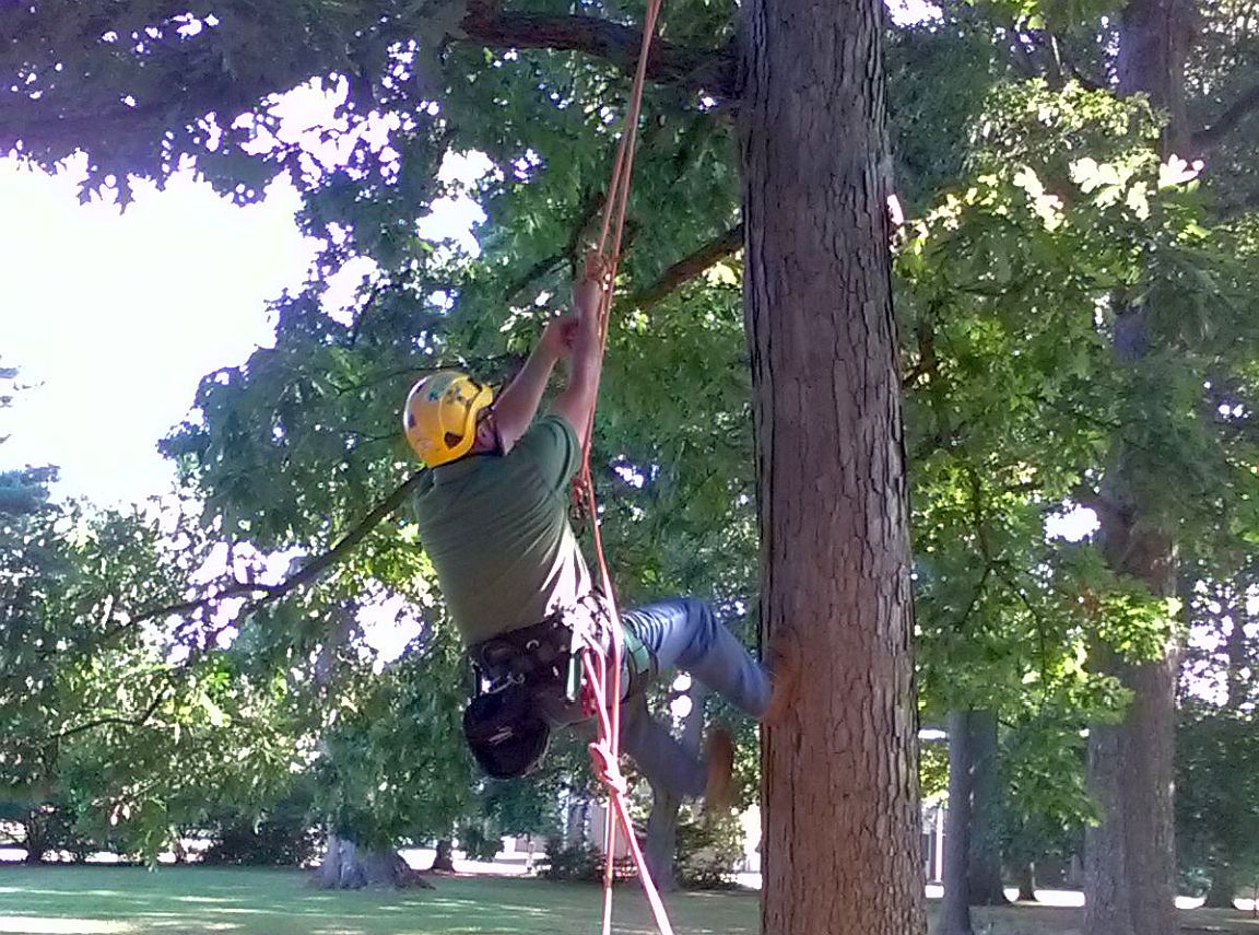 An instructor demonstrates proper climbing techniques for Tree Climbing School participants