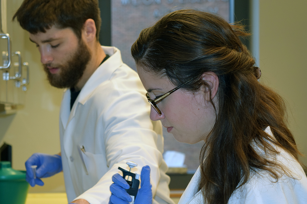 Students in the master of biotechnology degree program process samples in the lab.