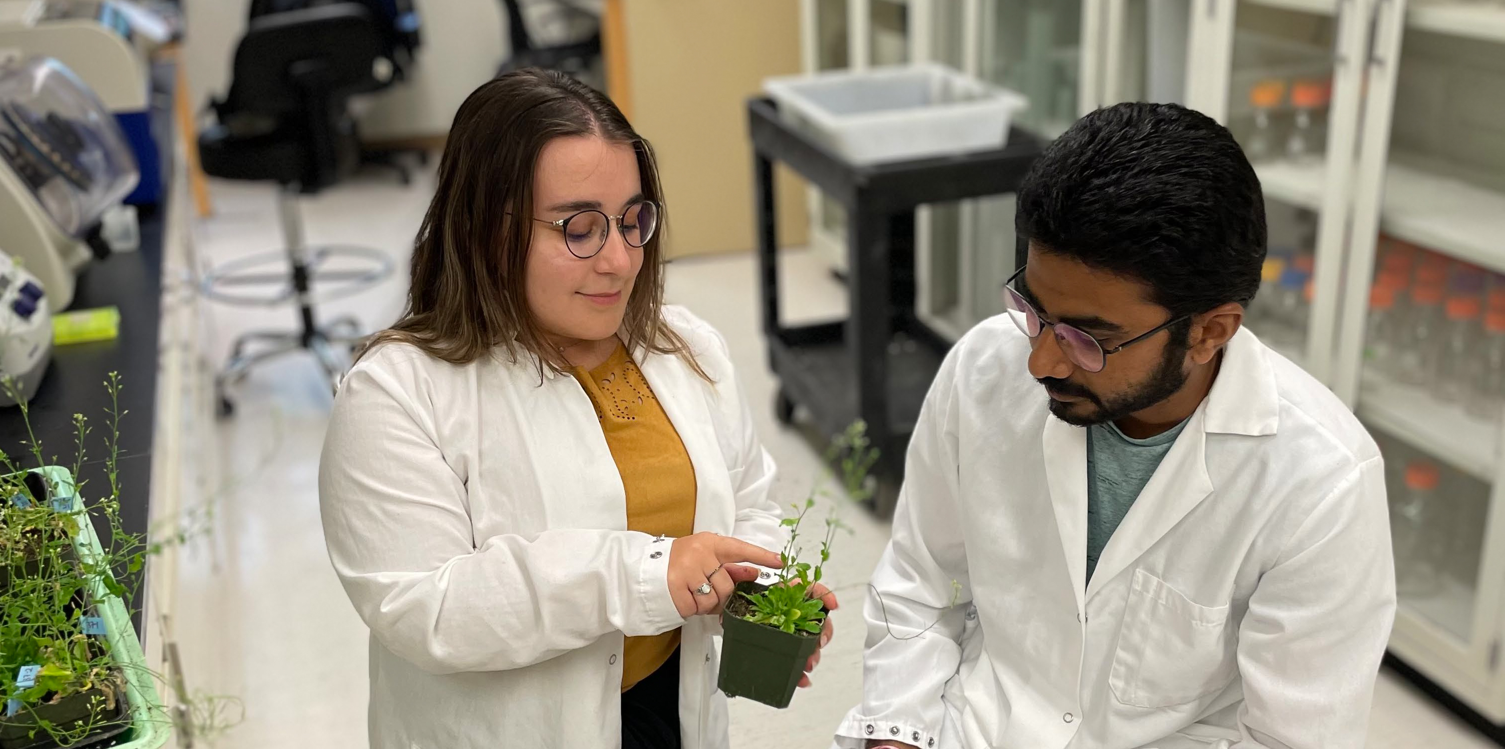 researchers discussing genetics