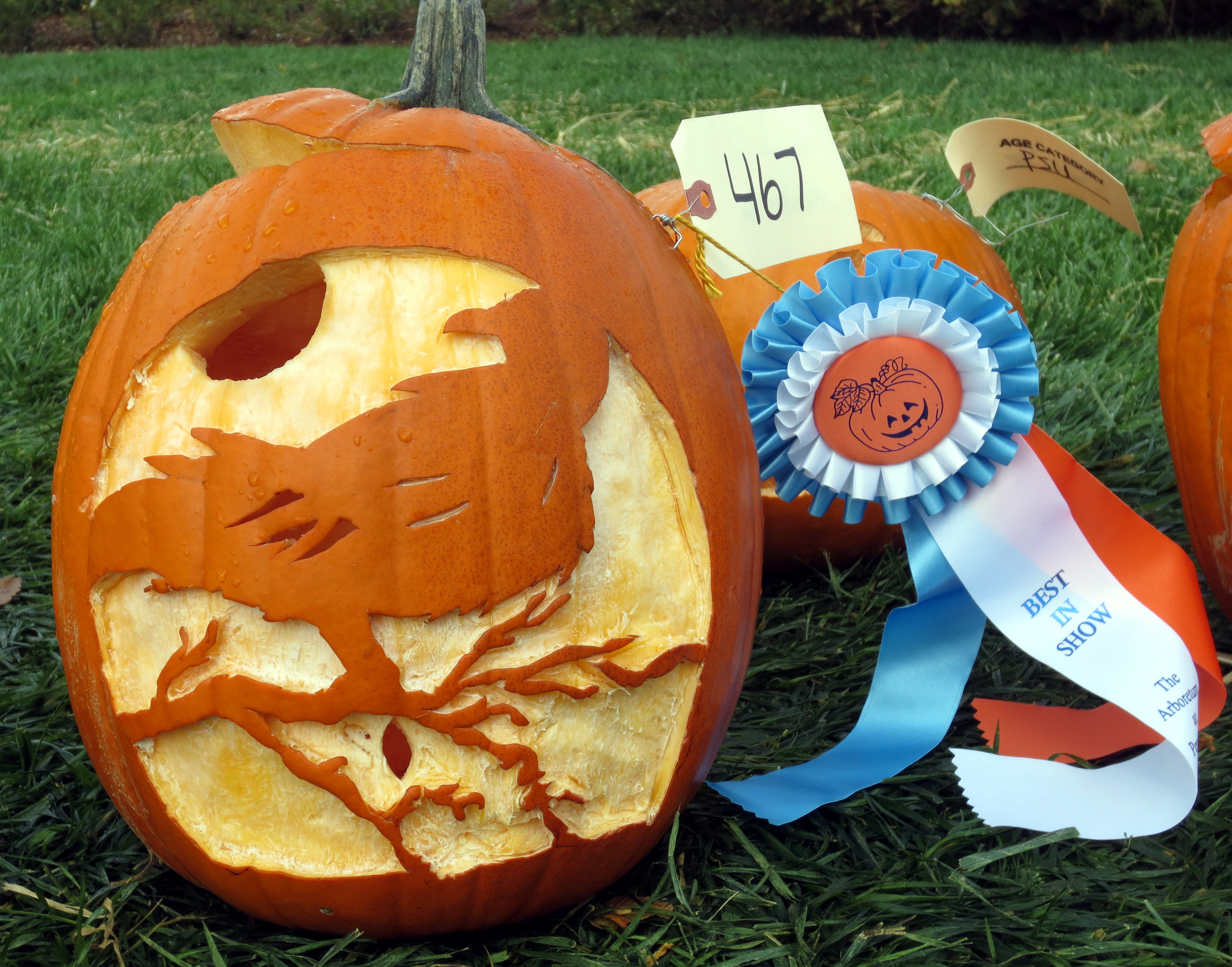 Jack-o'-lantern carved to show bird on branch