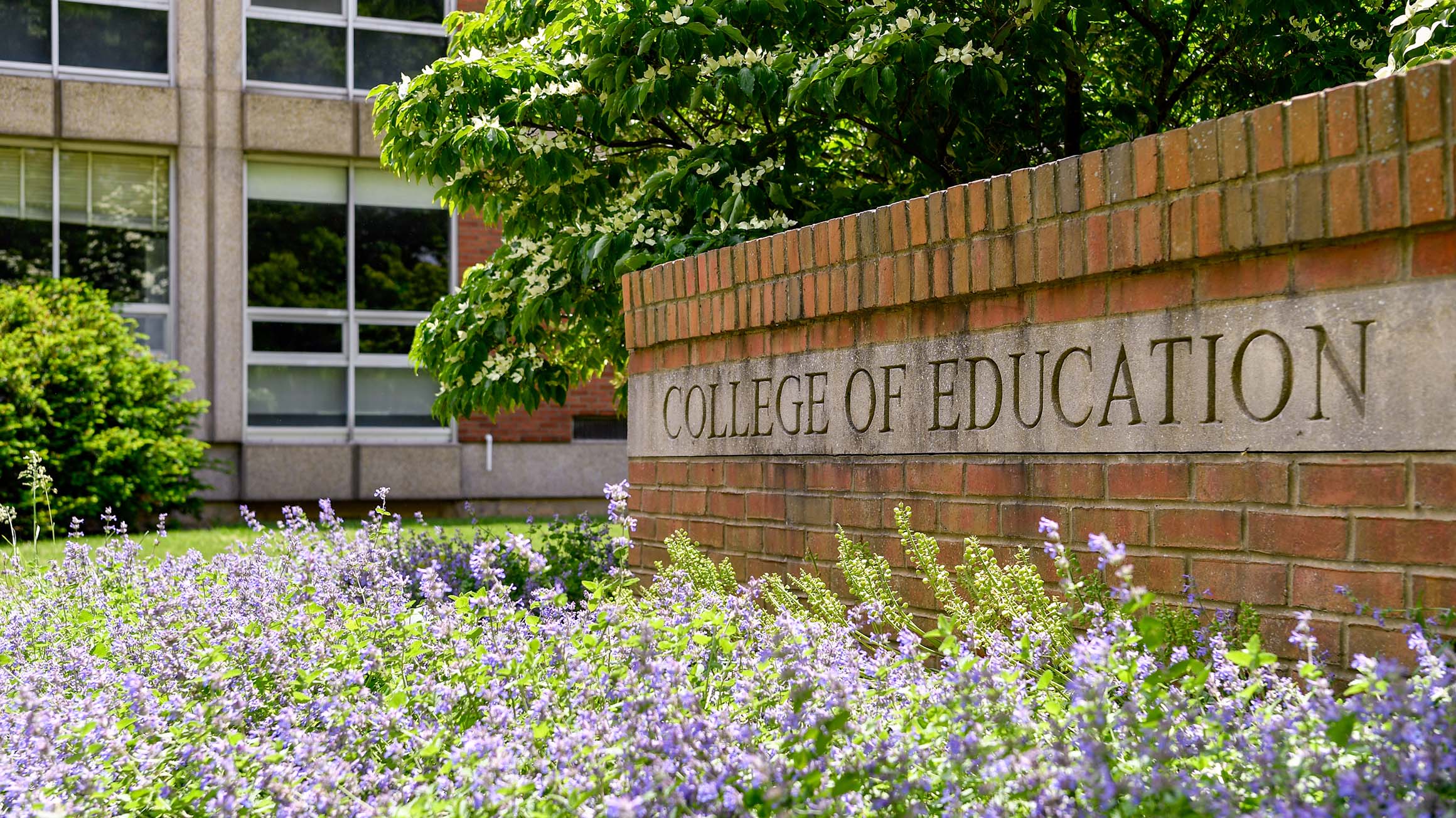 A brick wall sign says "College of Education"