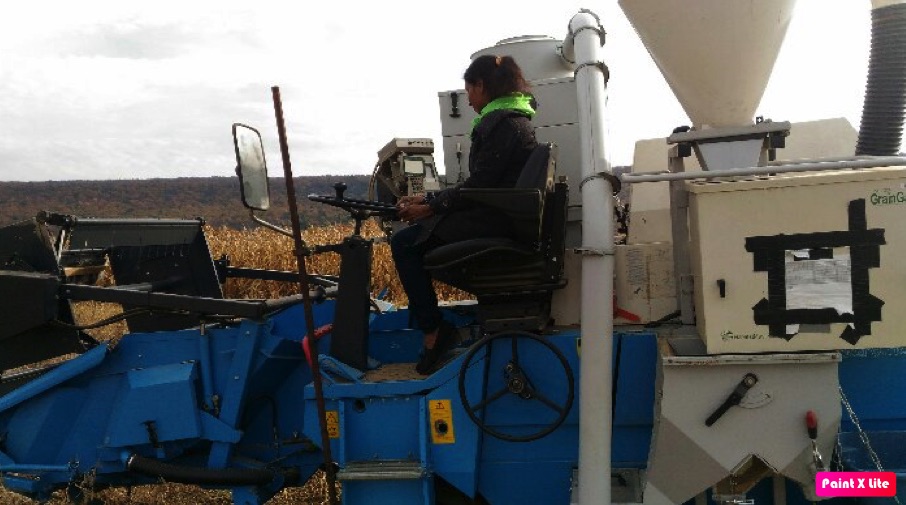 A researcher on a tractor in the middle of a field