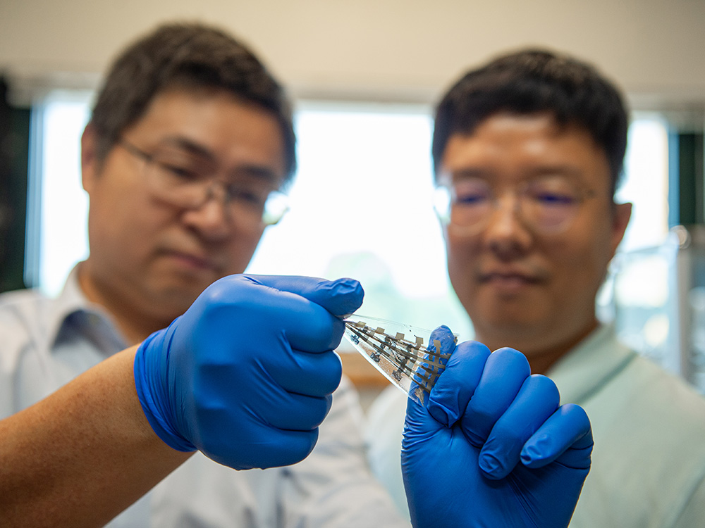 Two researchers wearing blue gloves twist a stretchy transistor. 