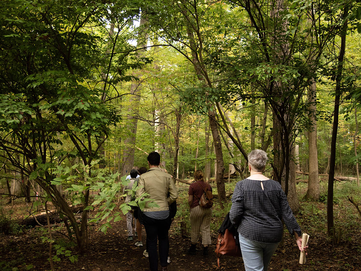 people walking into the forest