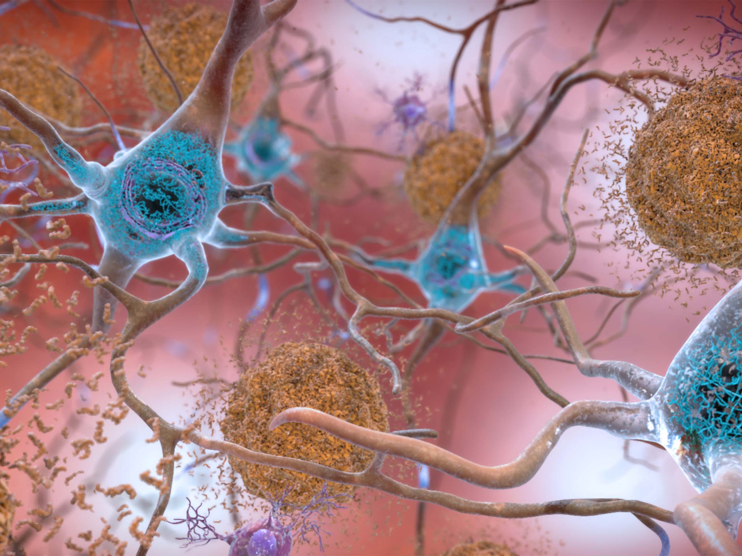 Illustration of brain neurons and synapses