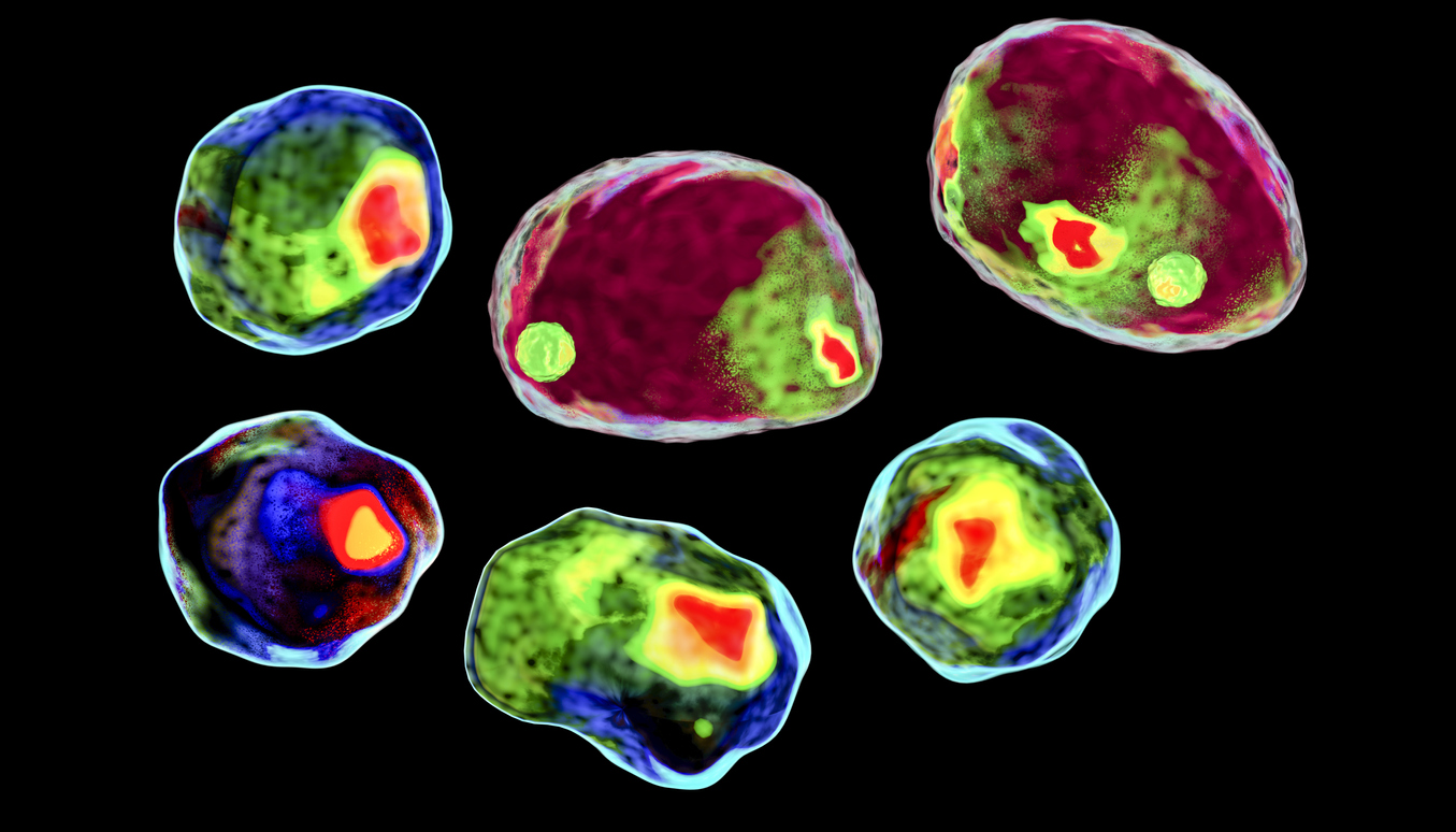 Flow Cytometry