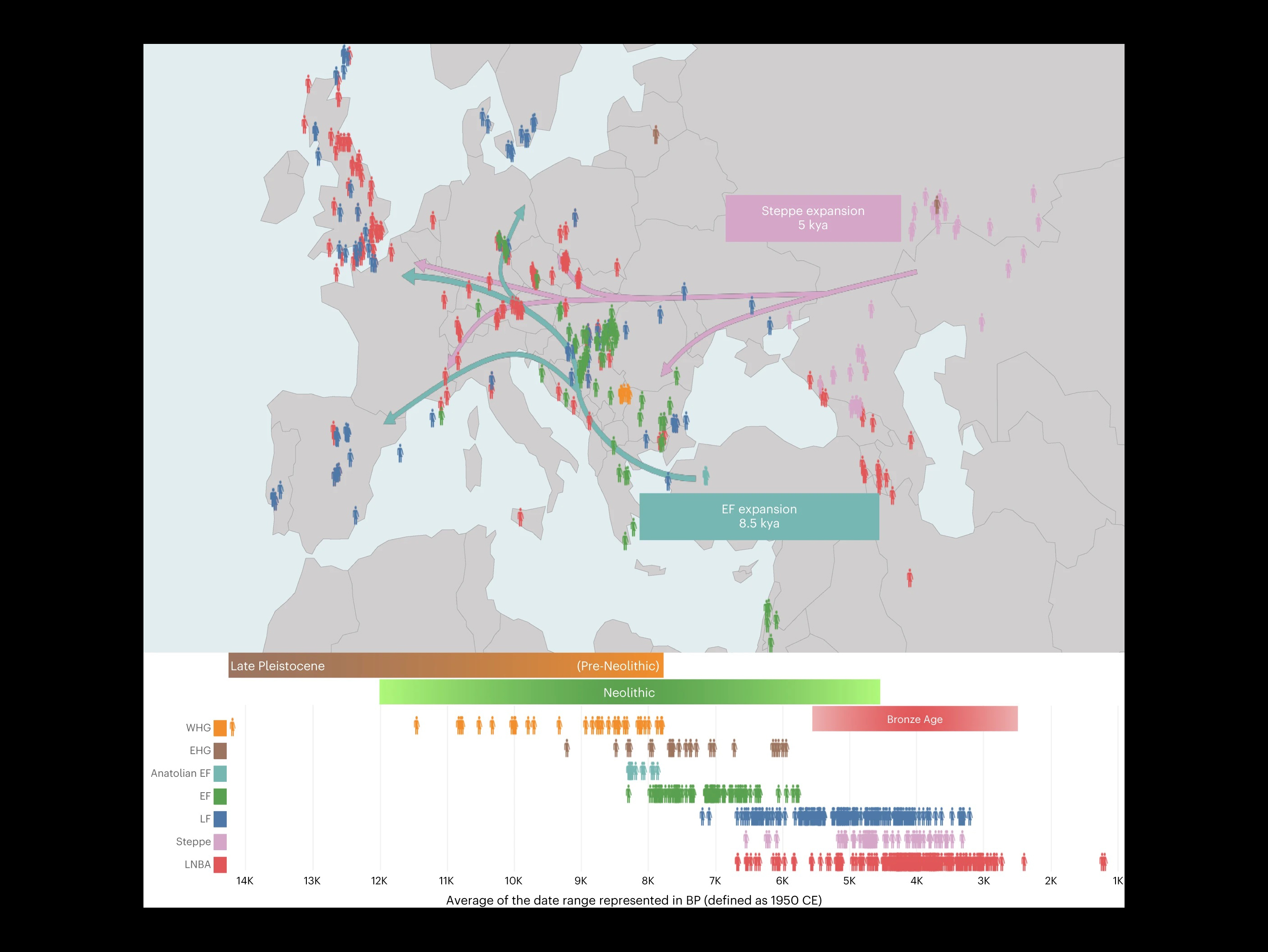 Map of human movement across Eurasia