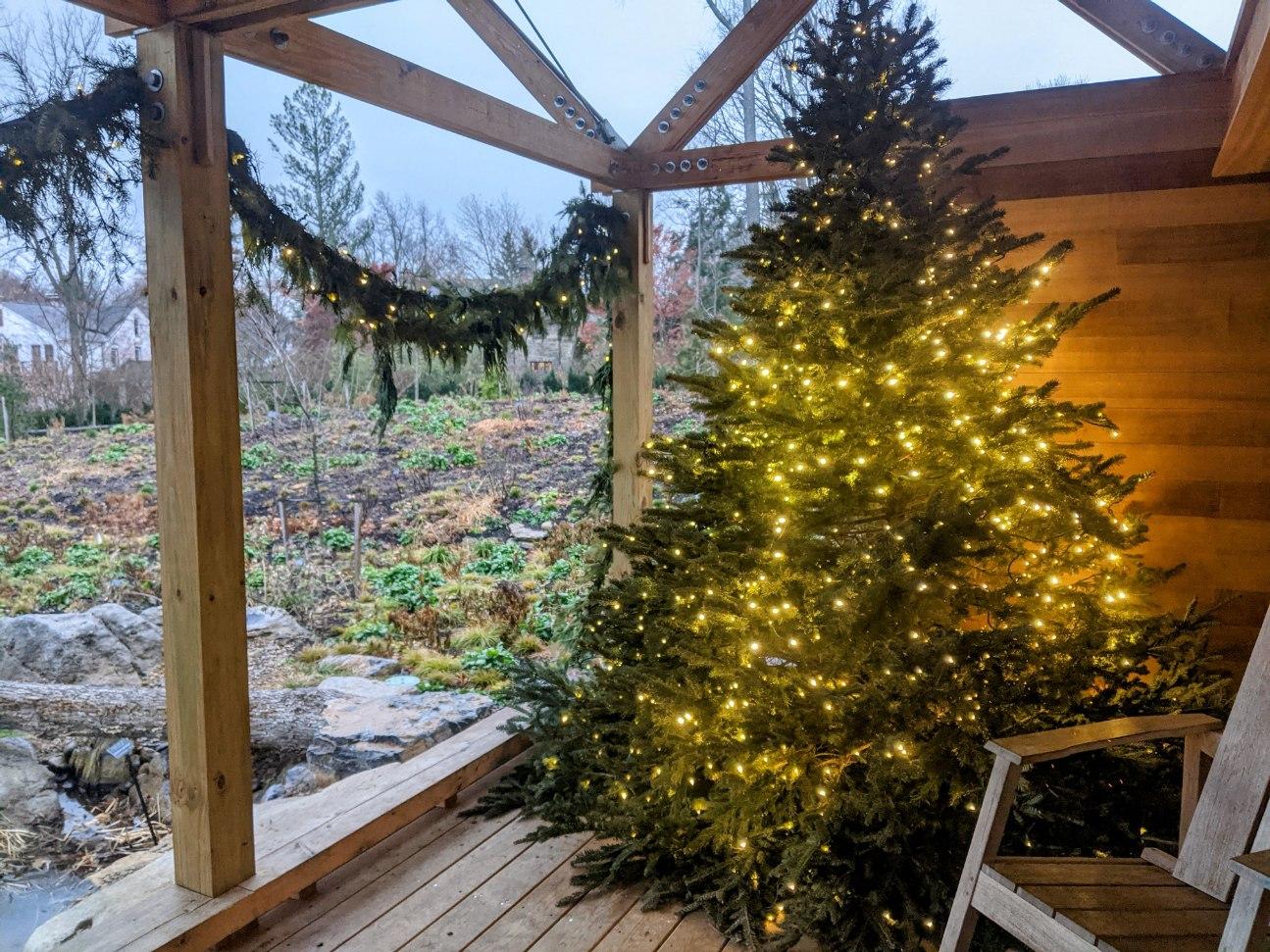 House and tree decorated with twinkling lights and garlands