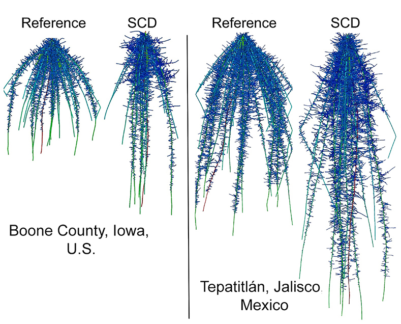 depth comparison