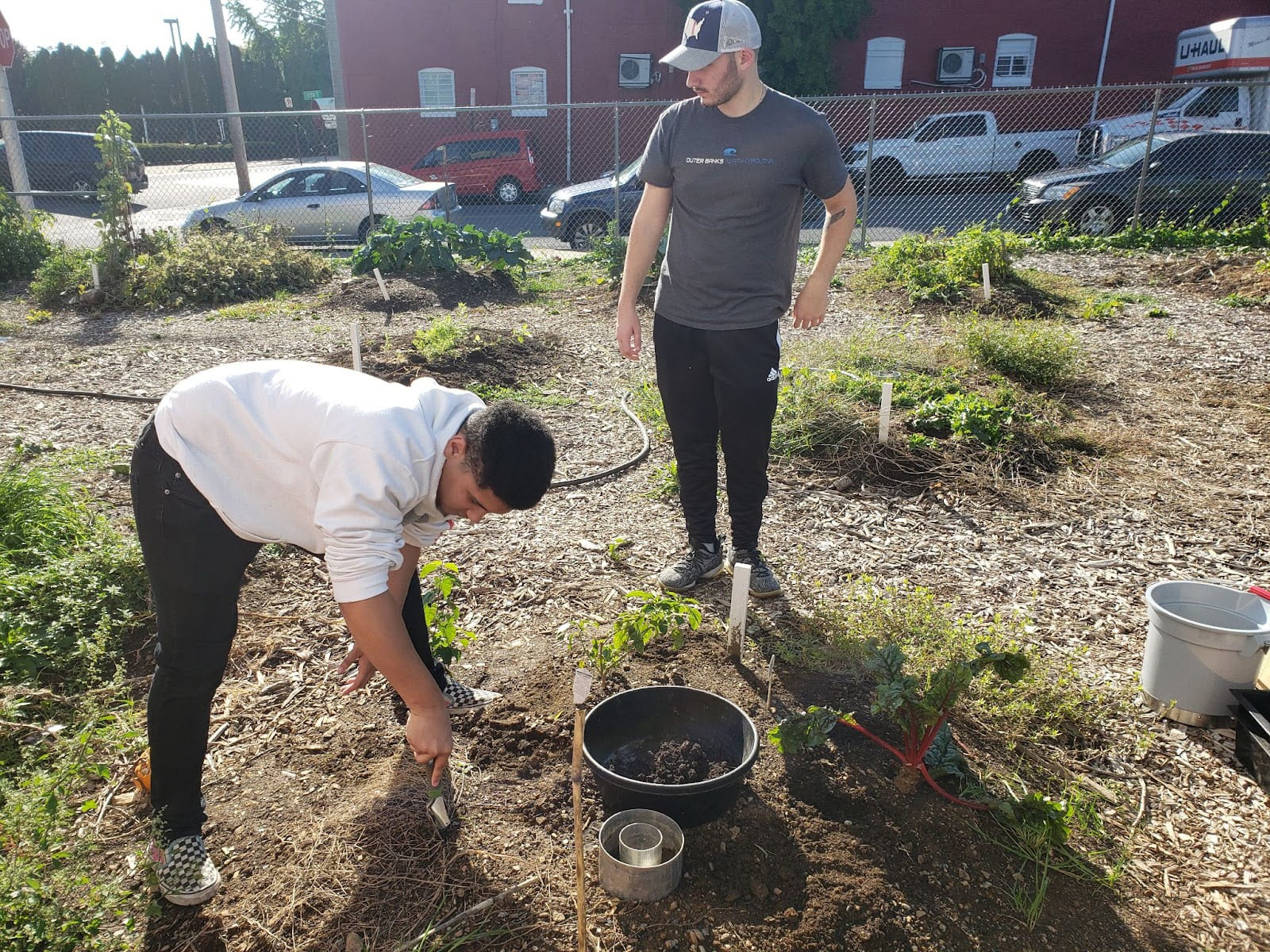 Two students work in a garden with a chain-link fence, cars and buildings behind them.