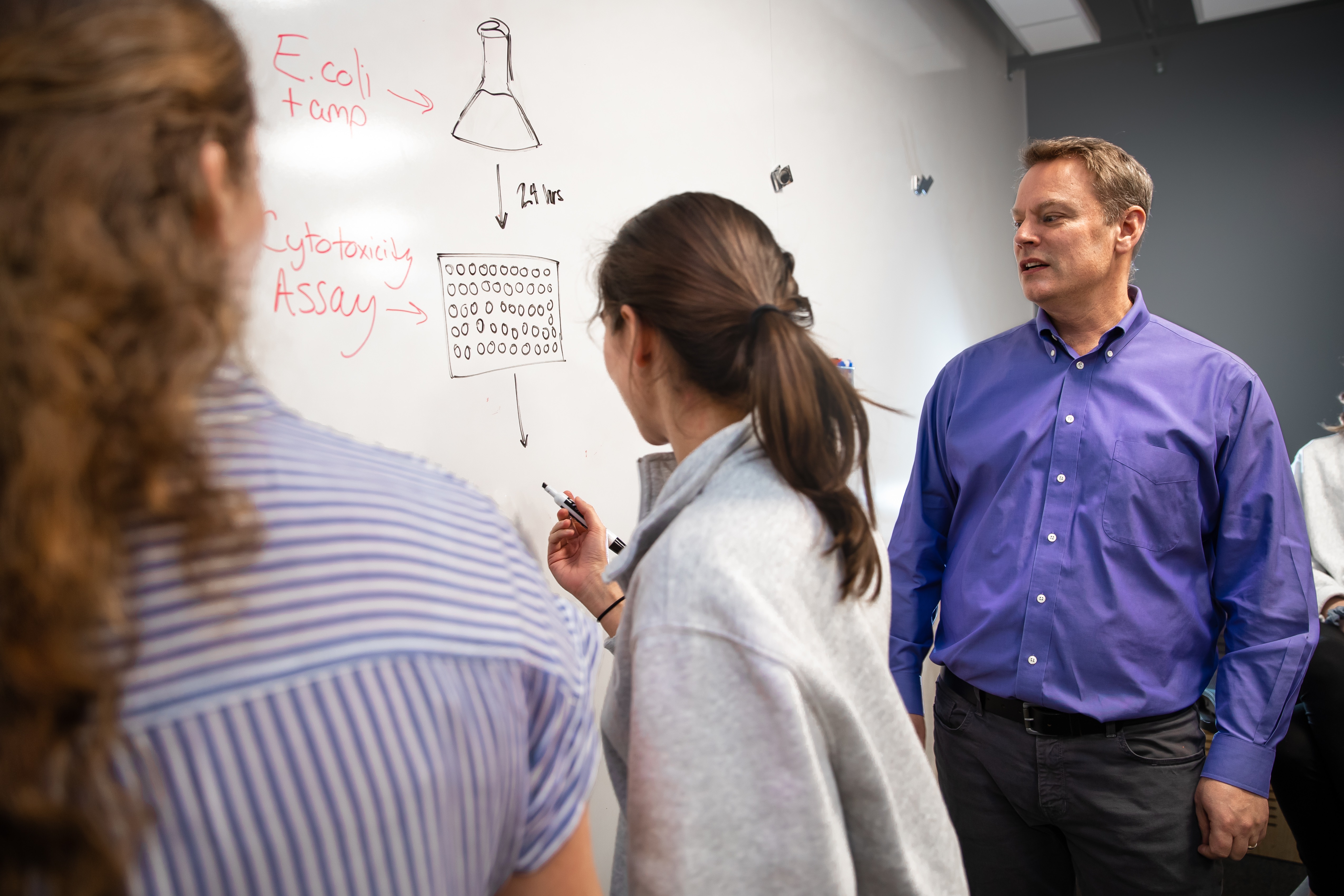 Three people work at a whiteboard.