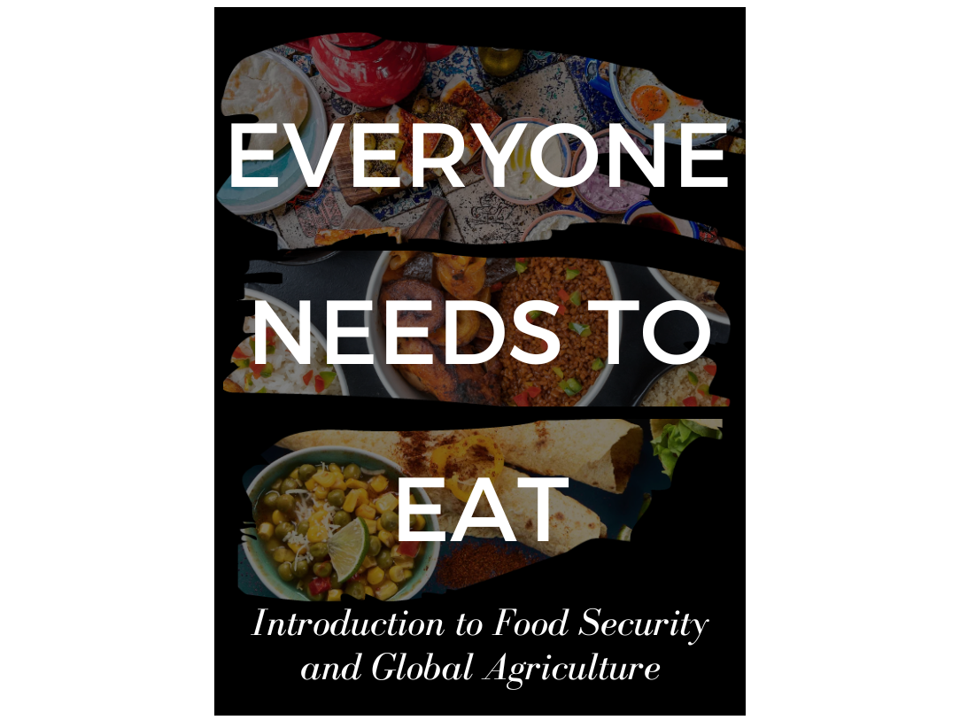 Book cover of Everyone Needs to Eat: Introduction to Food Security and Global Agriculture