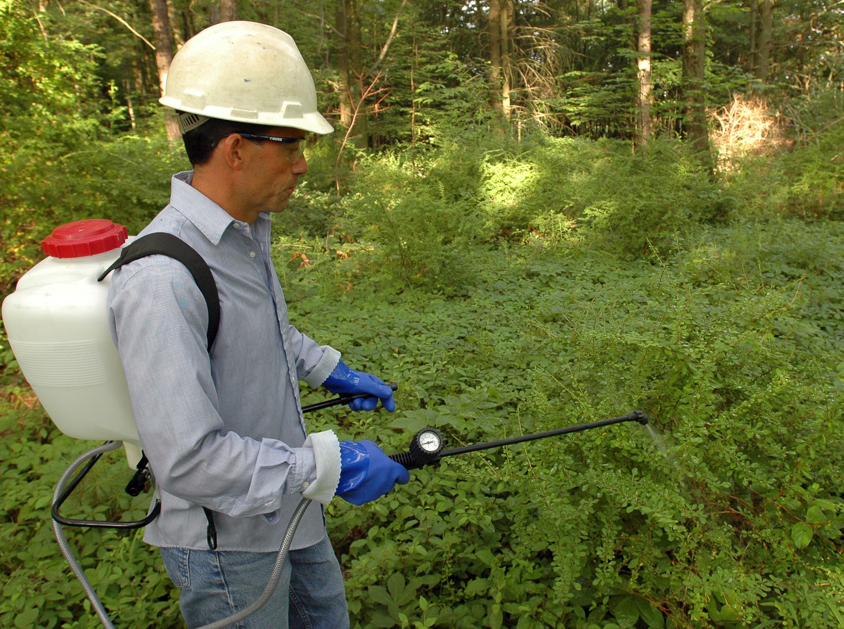 Pesticide spraying