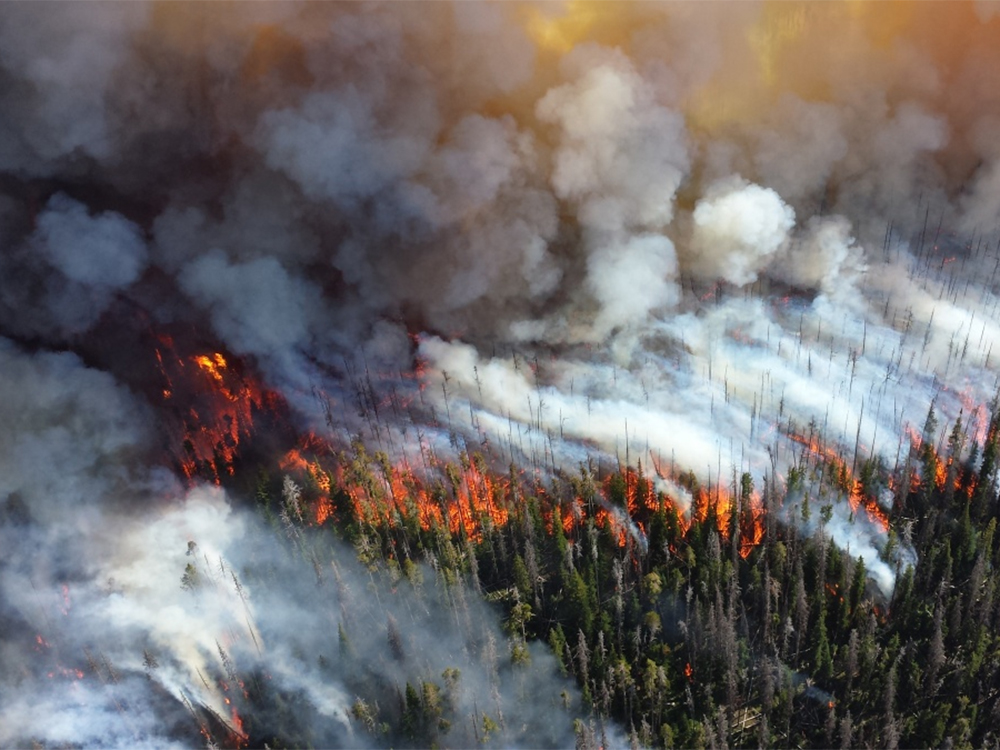 Wildfire smoke