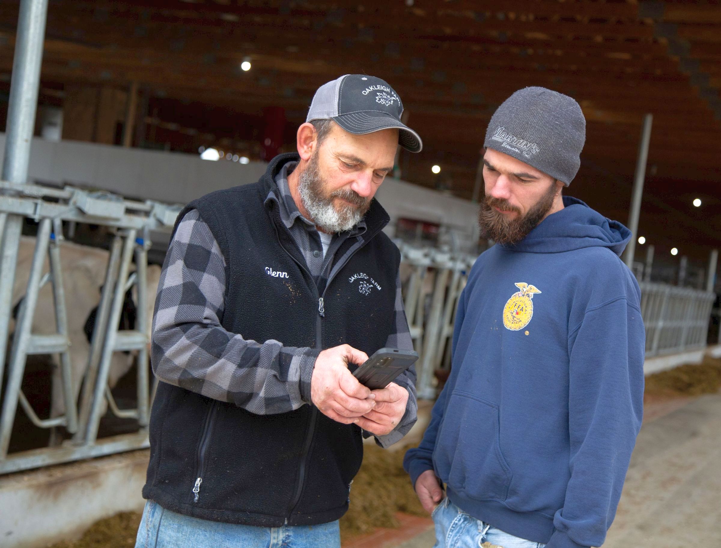 Dairy farmers at an automated dairy