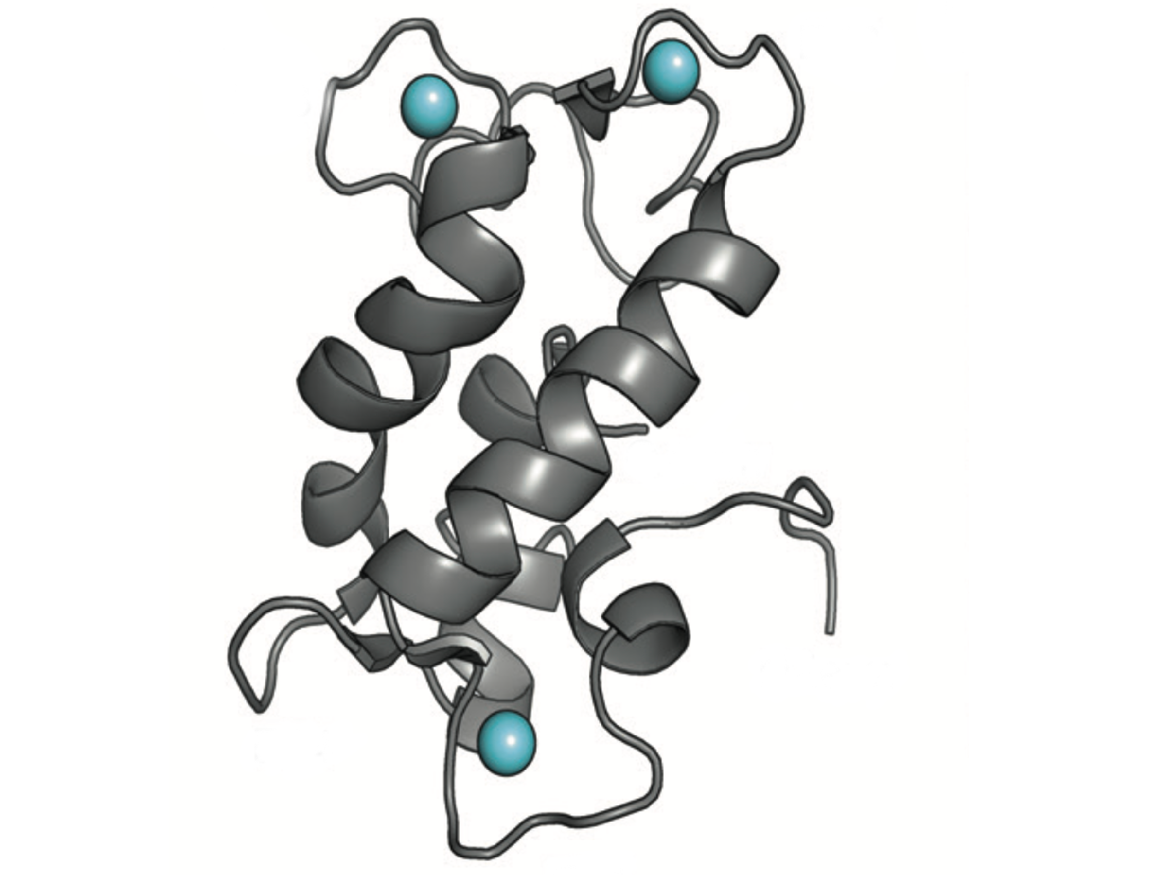 An illustration of a protein 