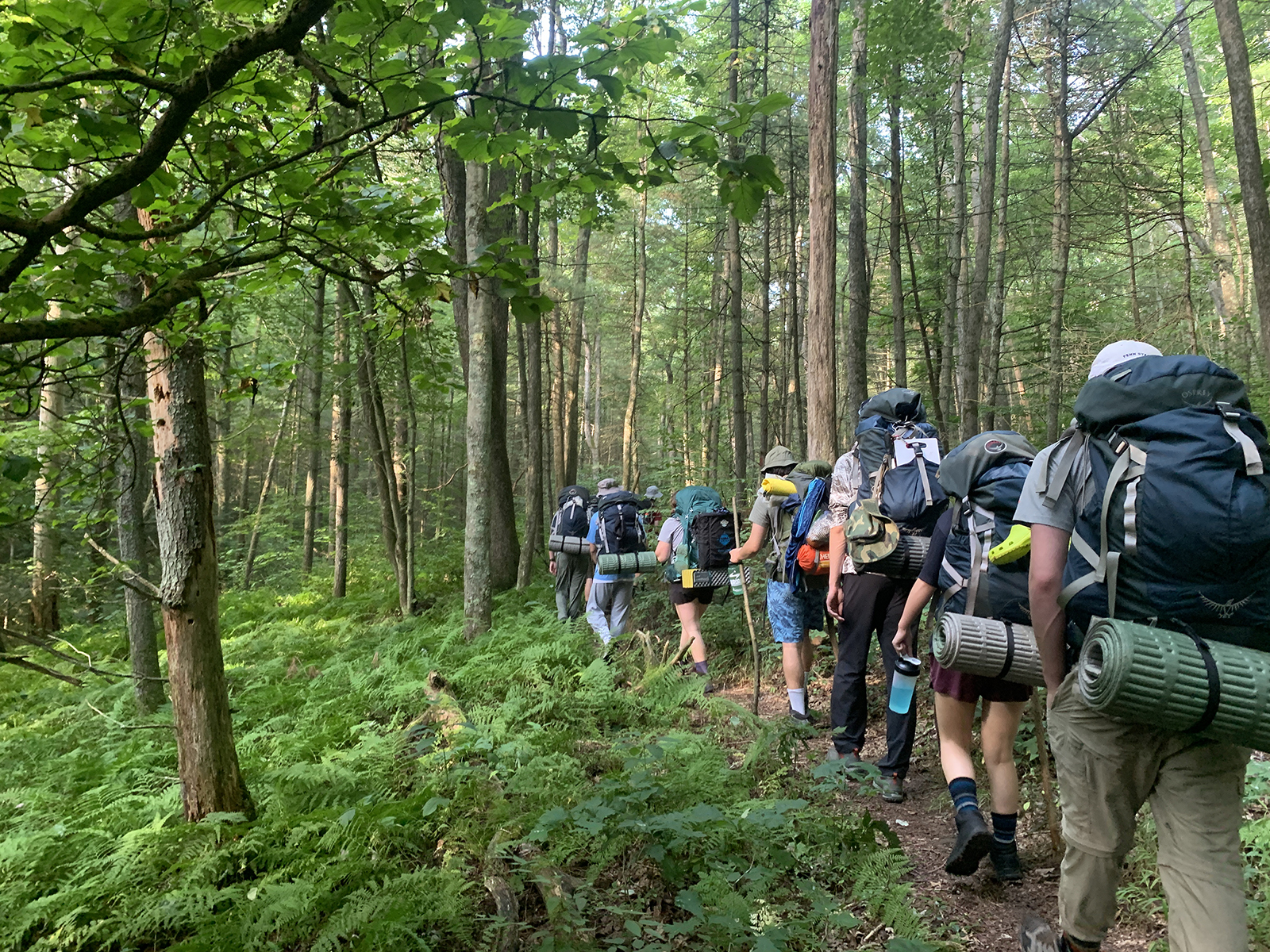 Students wearing outdoor gear and carring backpacks and walking sticks, hike along a trail in the lush green woods.