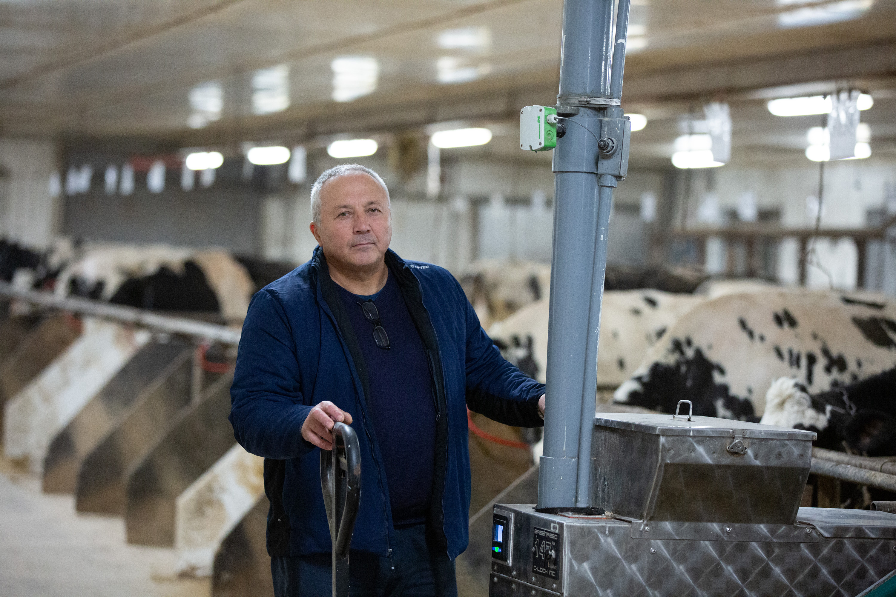 A man stands in a facilty with rows of cows behind him in stalls