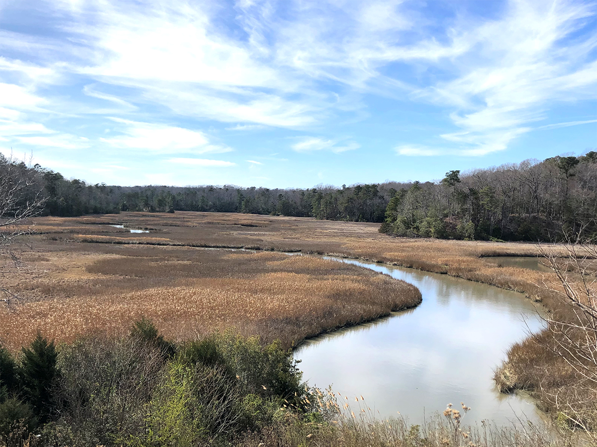 Taskinas Creek